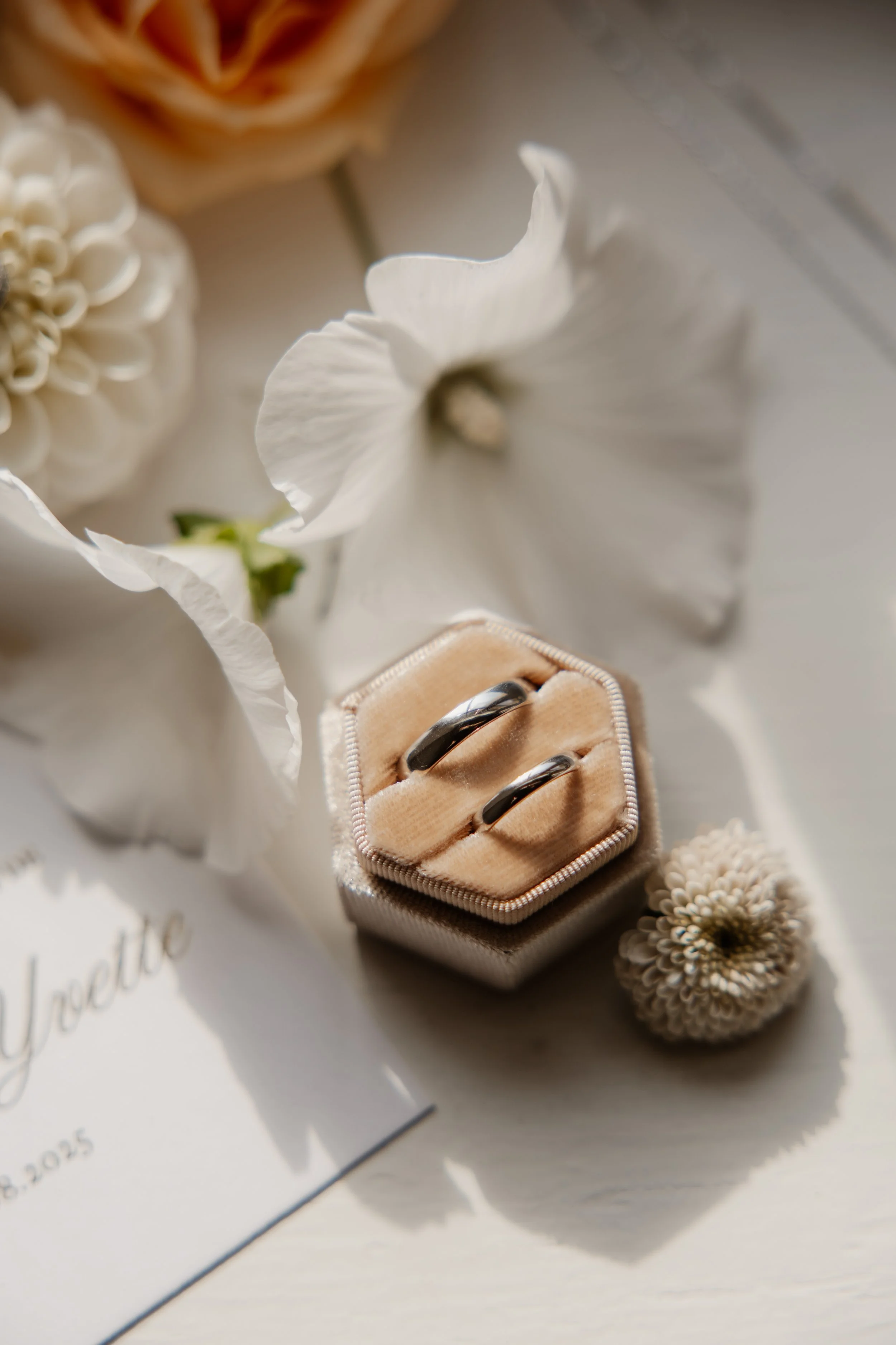 Dottens-E&Y-IMG_9508 2.jpg