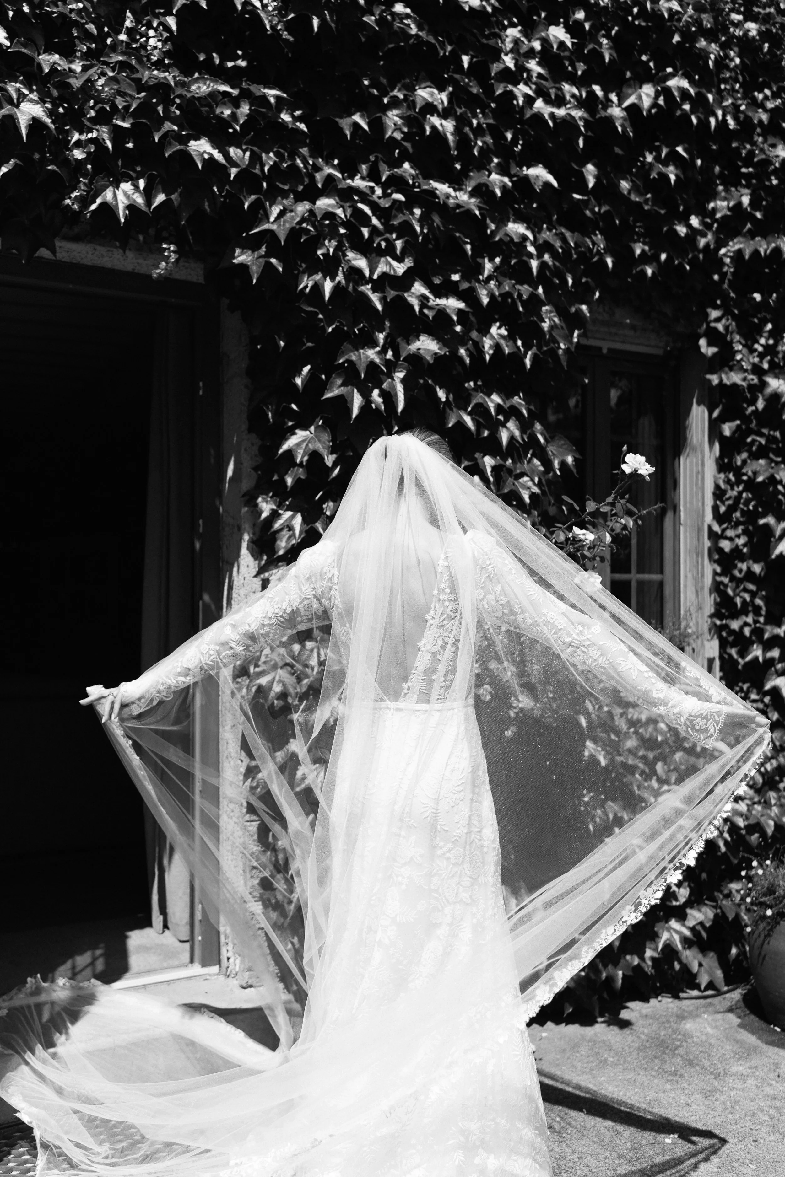 Dottens-Wedding-C&J-64.jpg