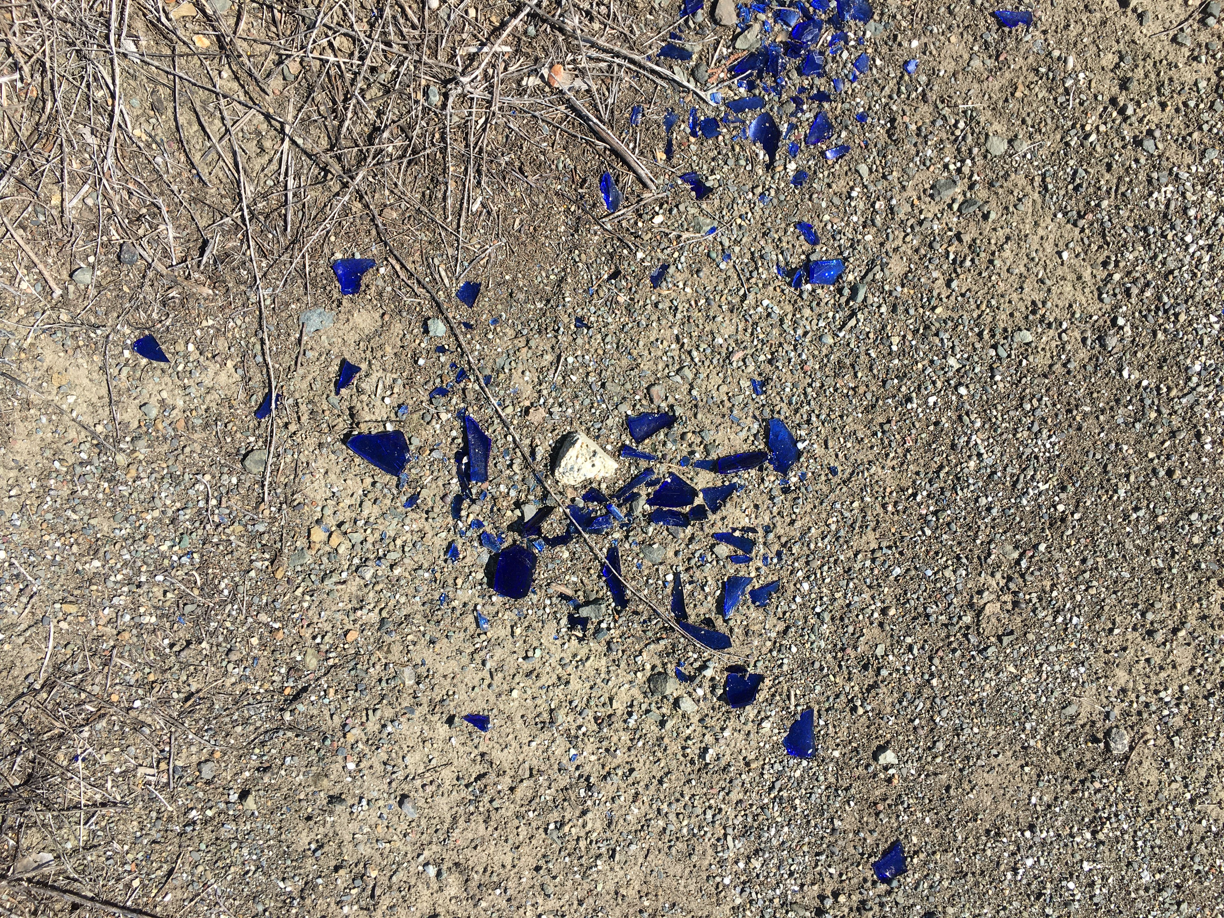 IMG_2234.png