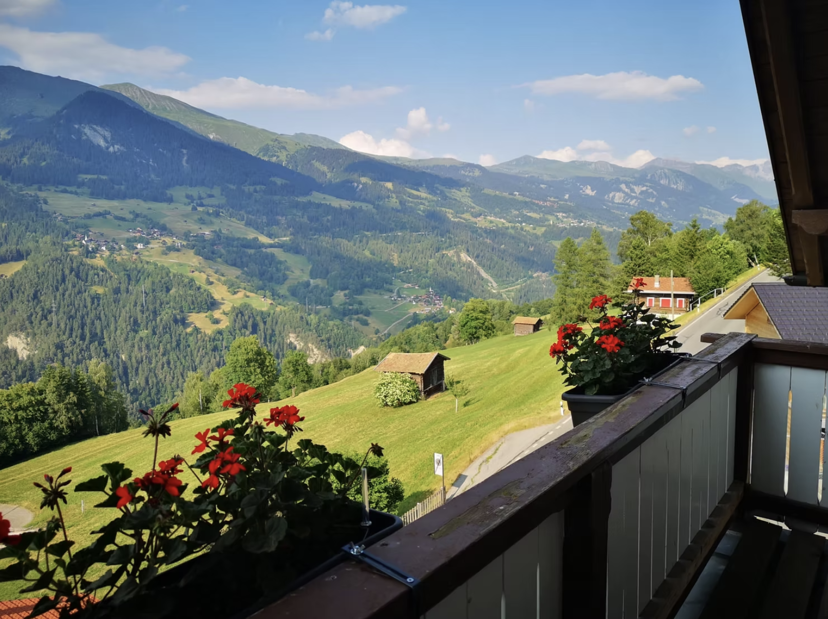 Natural Medicines Retreat
