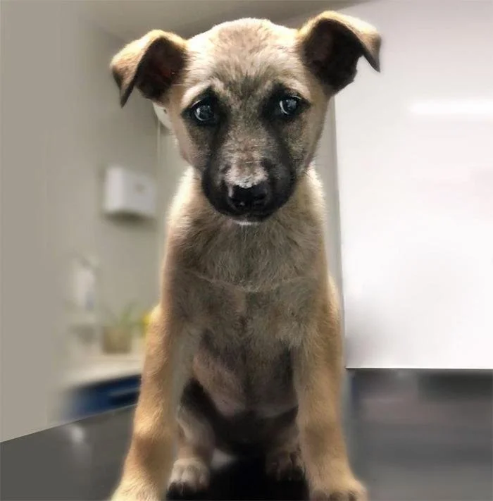 4226a39e-4cab-46d8-b8fb-4fc87d8a1f28 (1).JPG