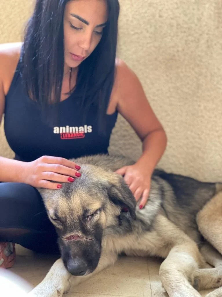 630037c6-2bbf-434d-907e-a2ccd023b942 (1).JPG