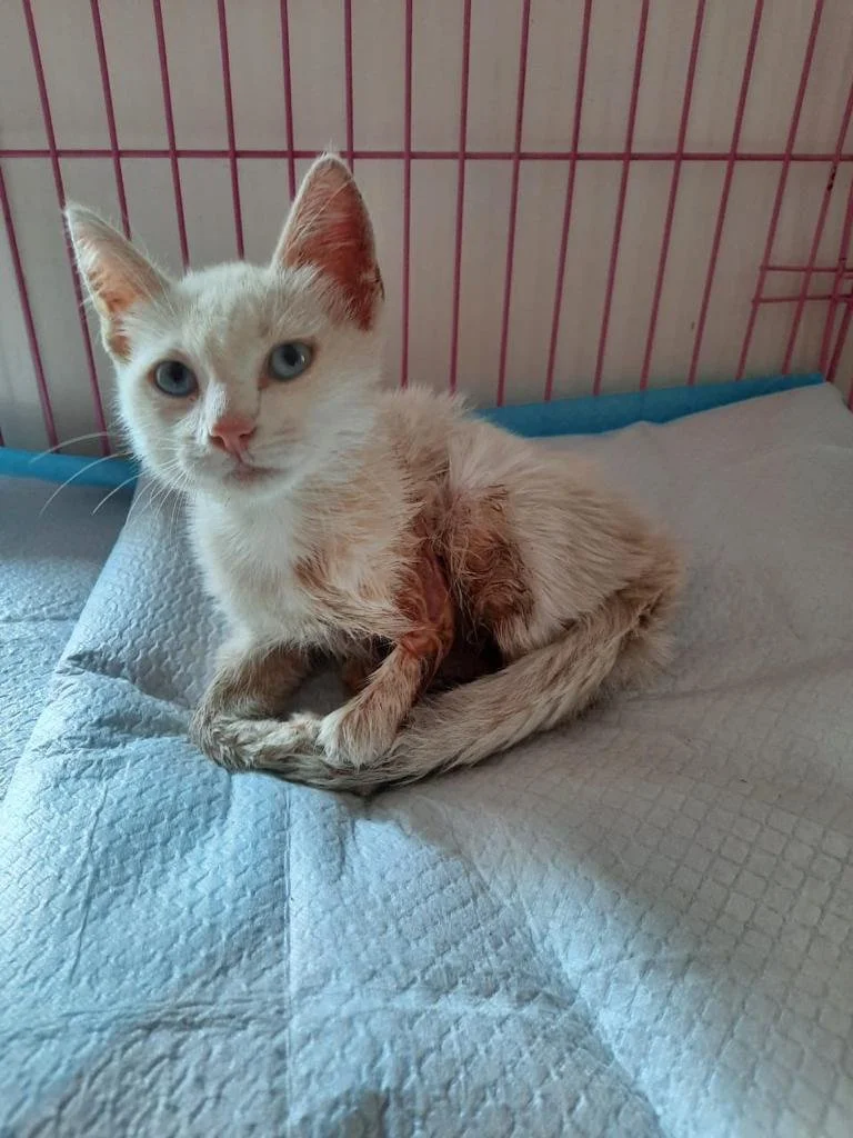 846796d1-e0fe-4a09-b7cc-cff3df80de27 (1).JPG