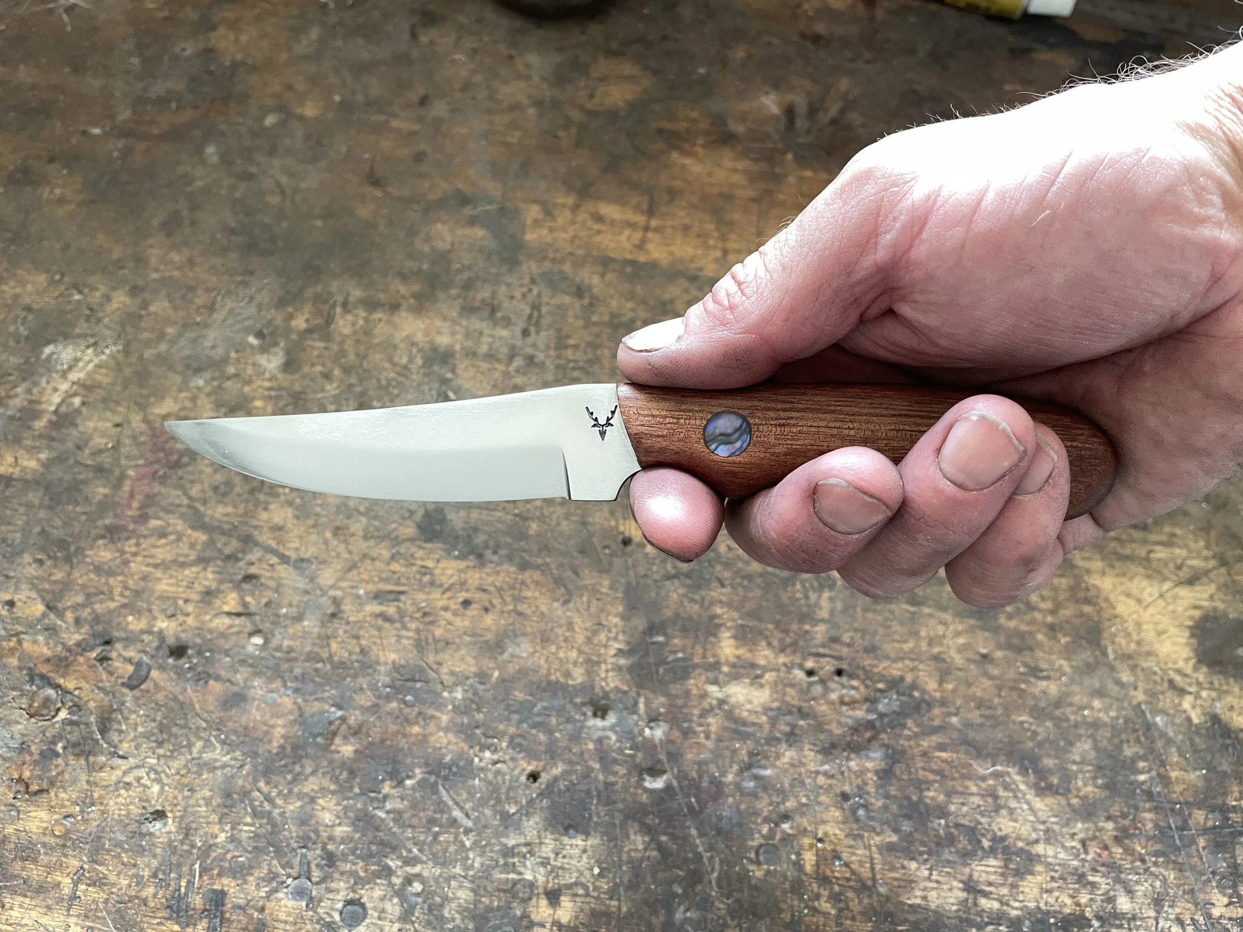 Bird & Trout with Paua in the hand