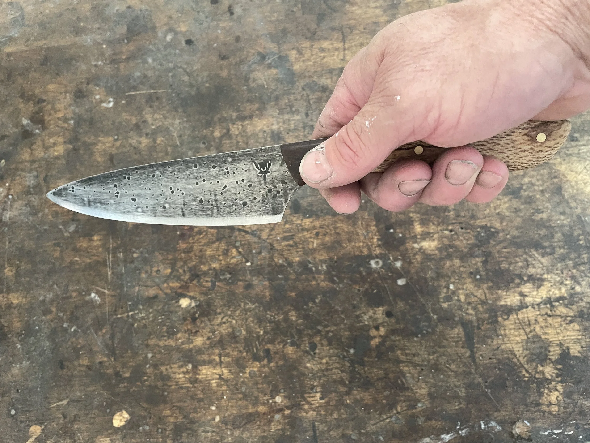 Spalted Rewarewa 6 inch Chef Knife in the hand