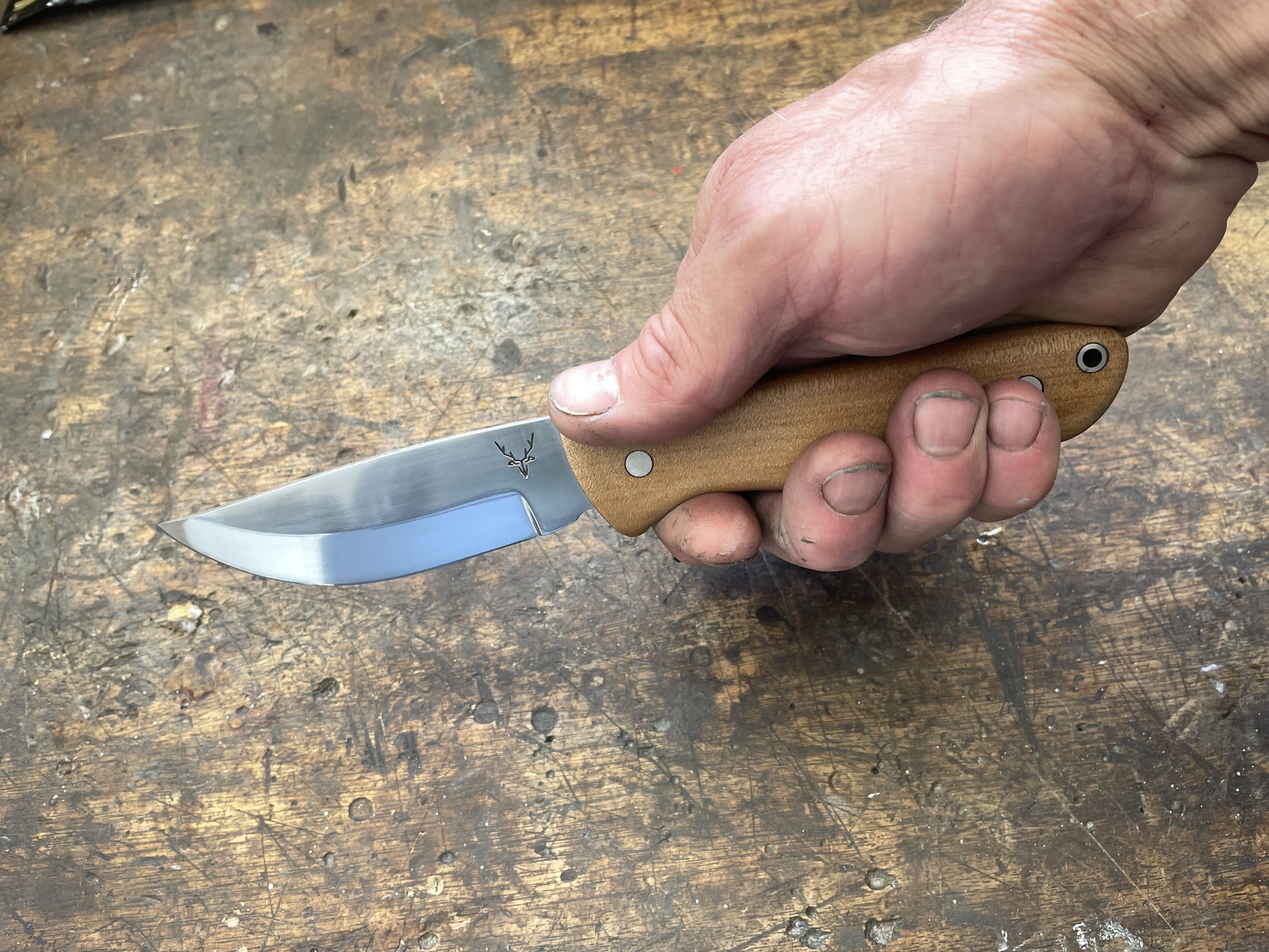 Ultimate Hunter Kauri facing in the hand