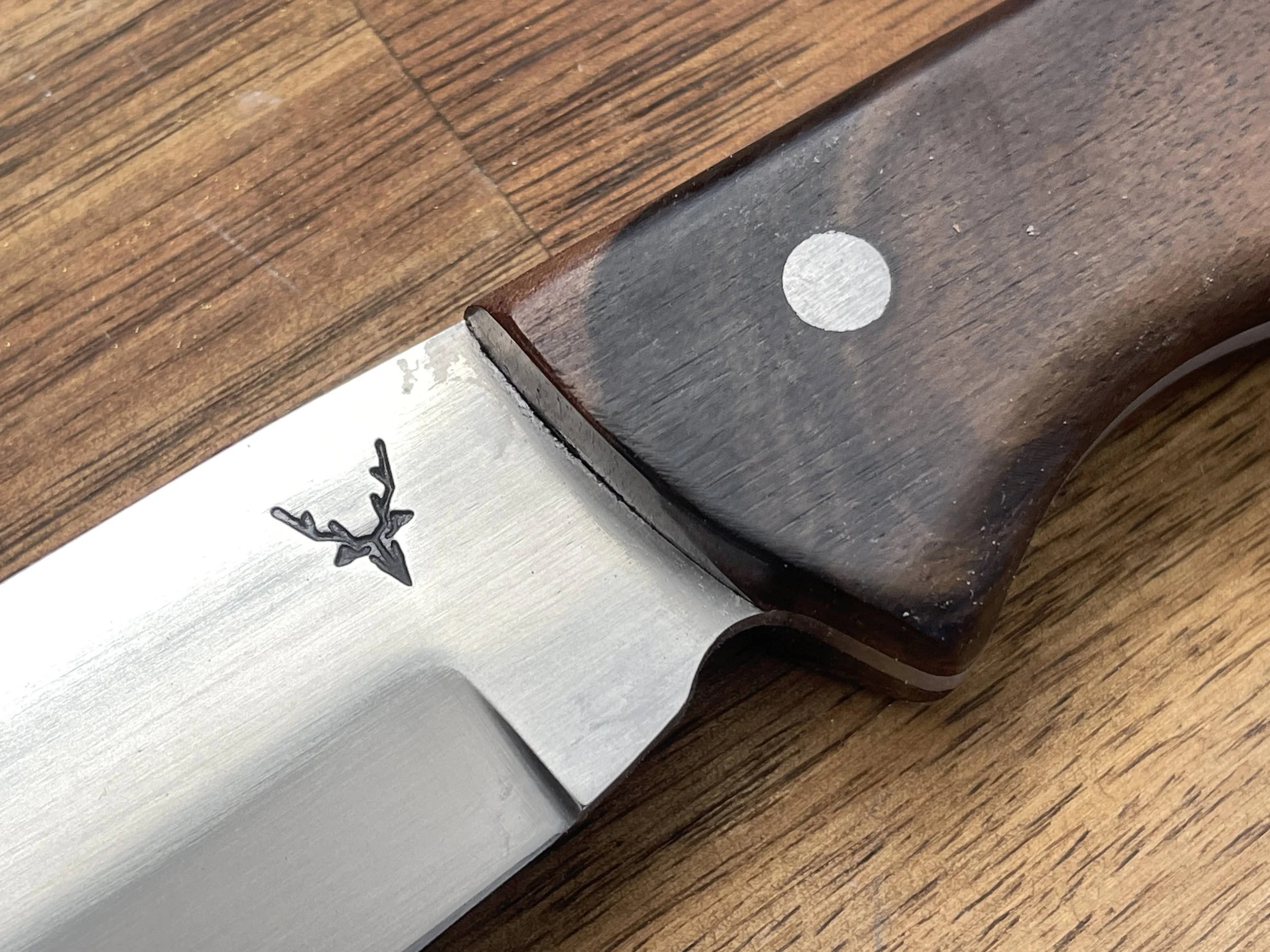 Ultimate Hunter close up - Walnut