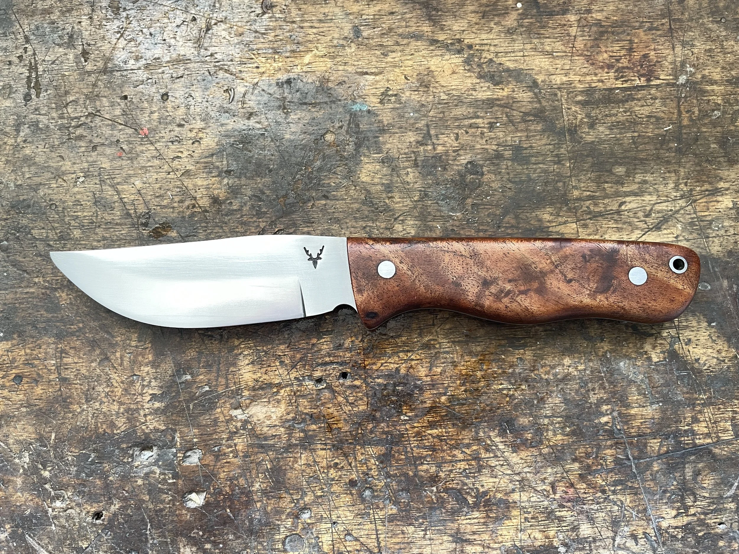 Ultimate Hunter Blackwood facing left