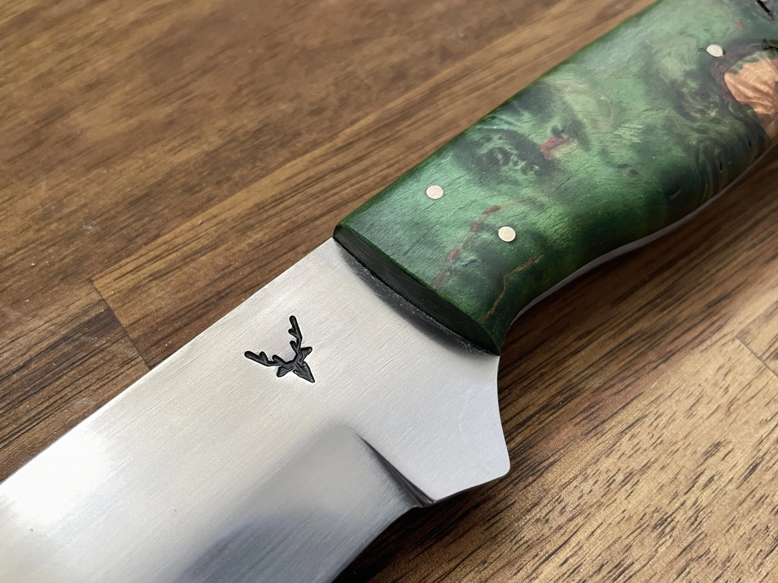 Hunting Companion close up.JPG