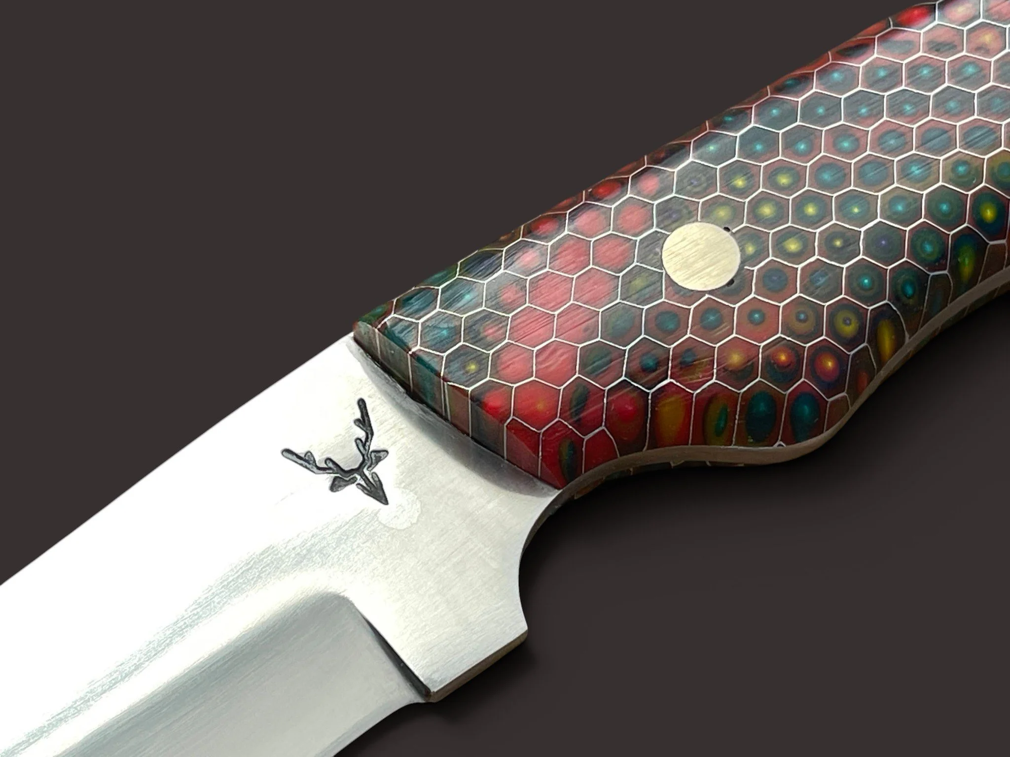 IMG_6722.jpg
