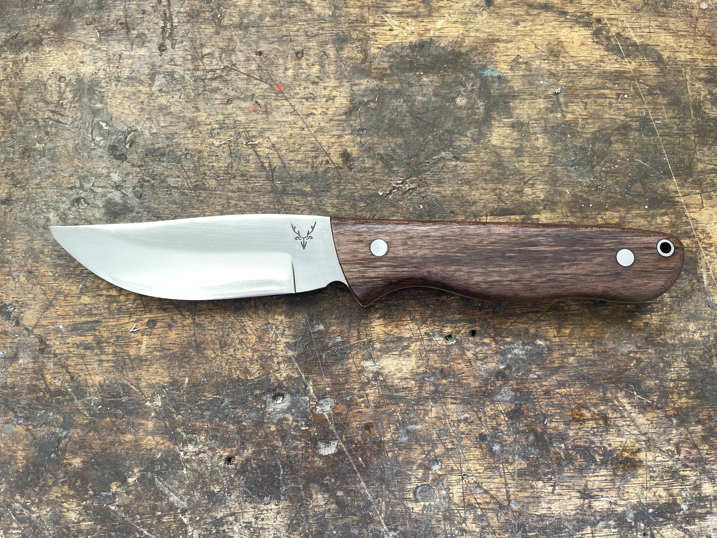 Ultimate hunter knife with walnut handle facing left