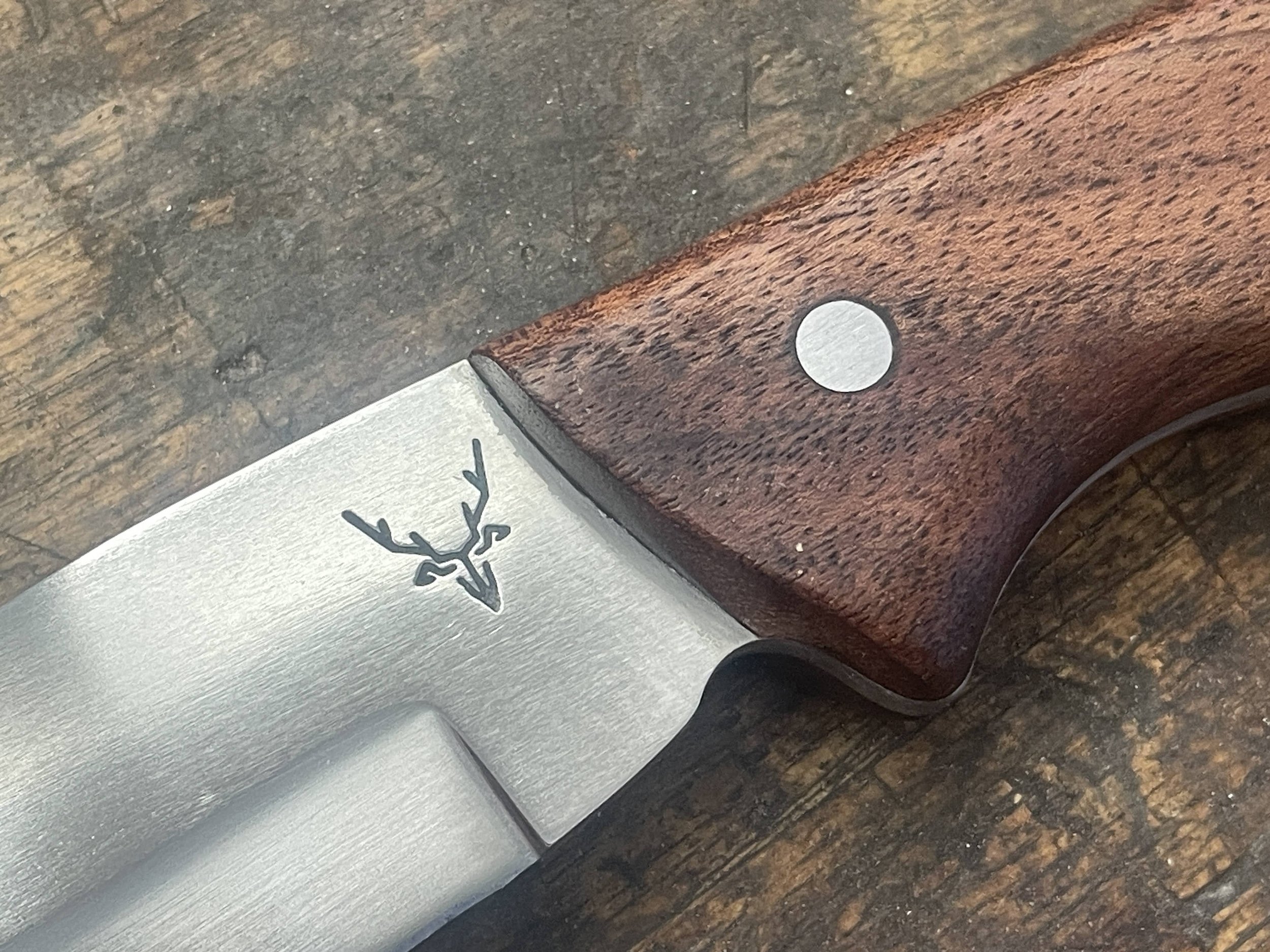 Blackwood Ultimate Hunter Knife facing right