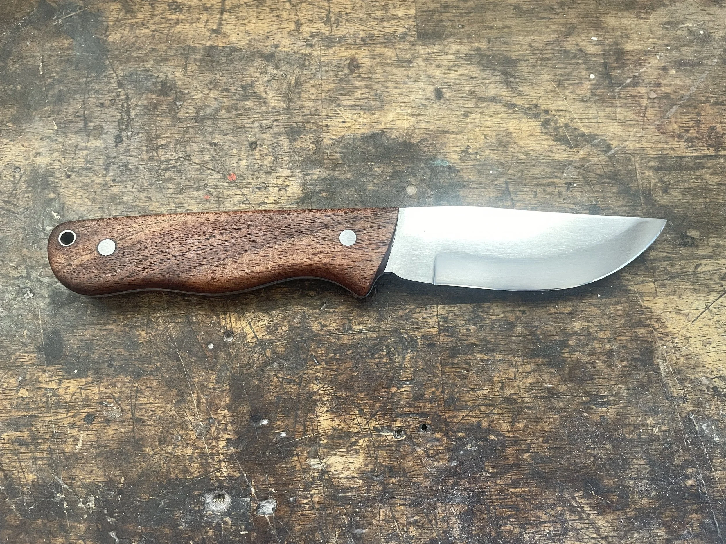 Blackwood Ultimate Hunter Knife facing right