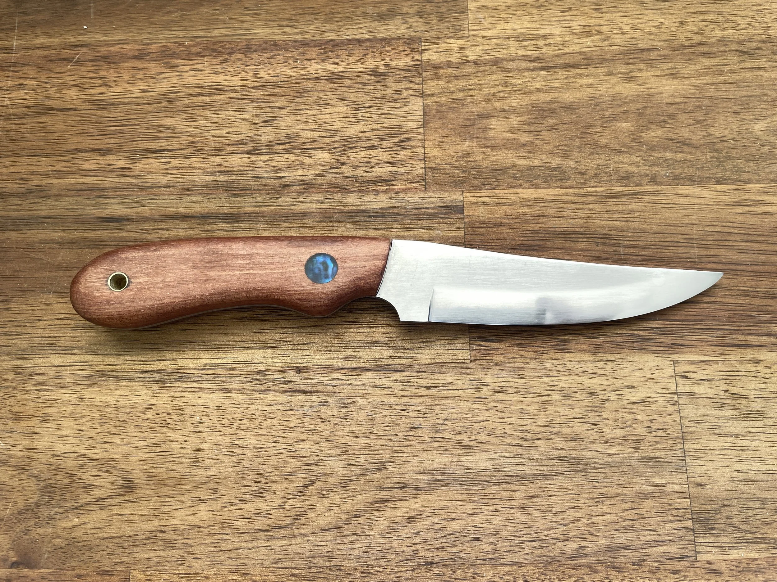 Bird & Trout Rata & Paua Facing Right