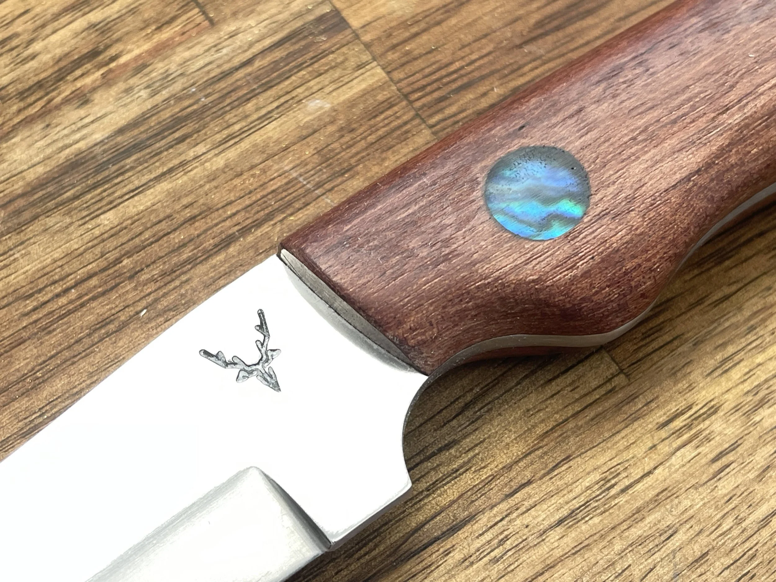 Bird & Trout Rata & Paua close up