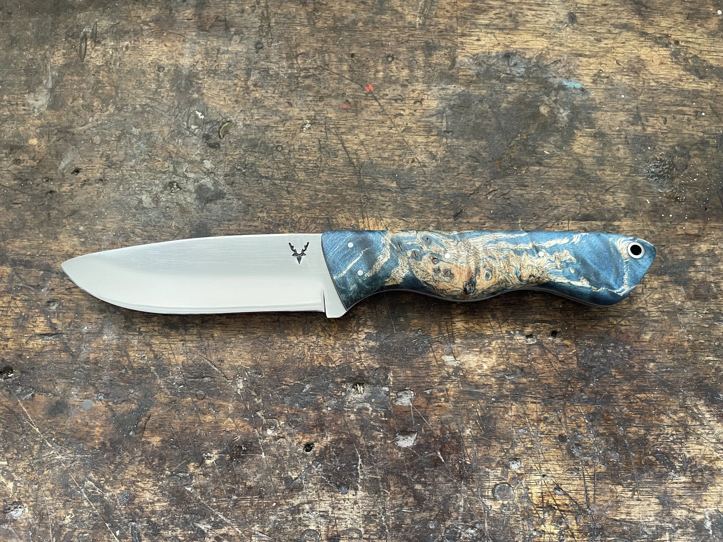 Classic Hunter Curly Birch Blue
