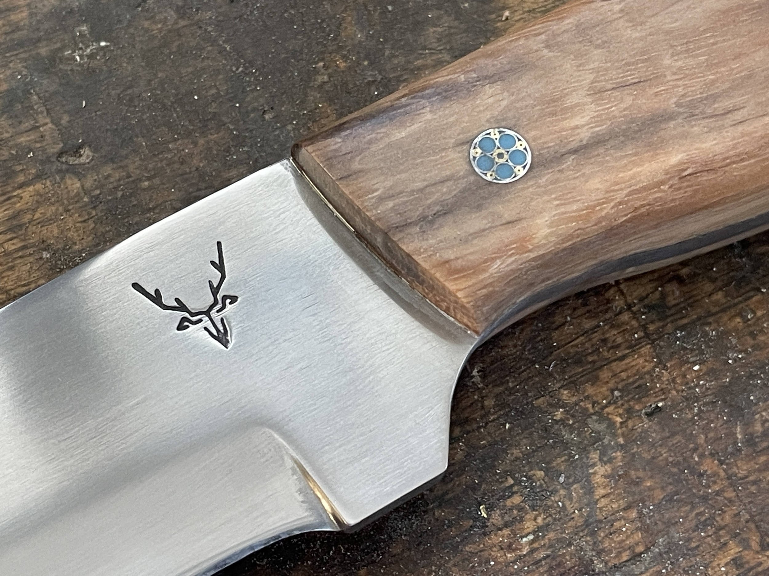 Bushman Black Maire close up