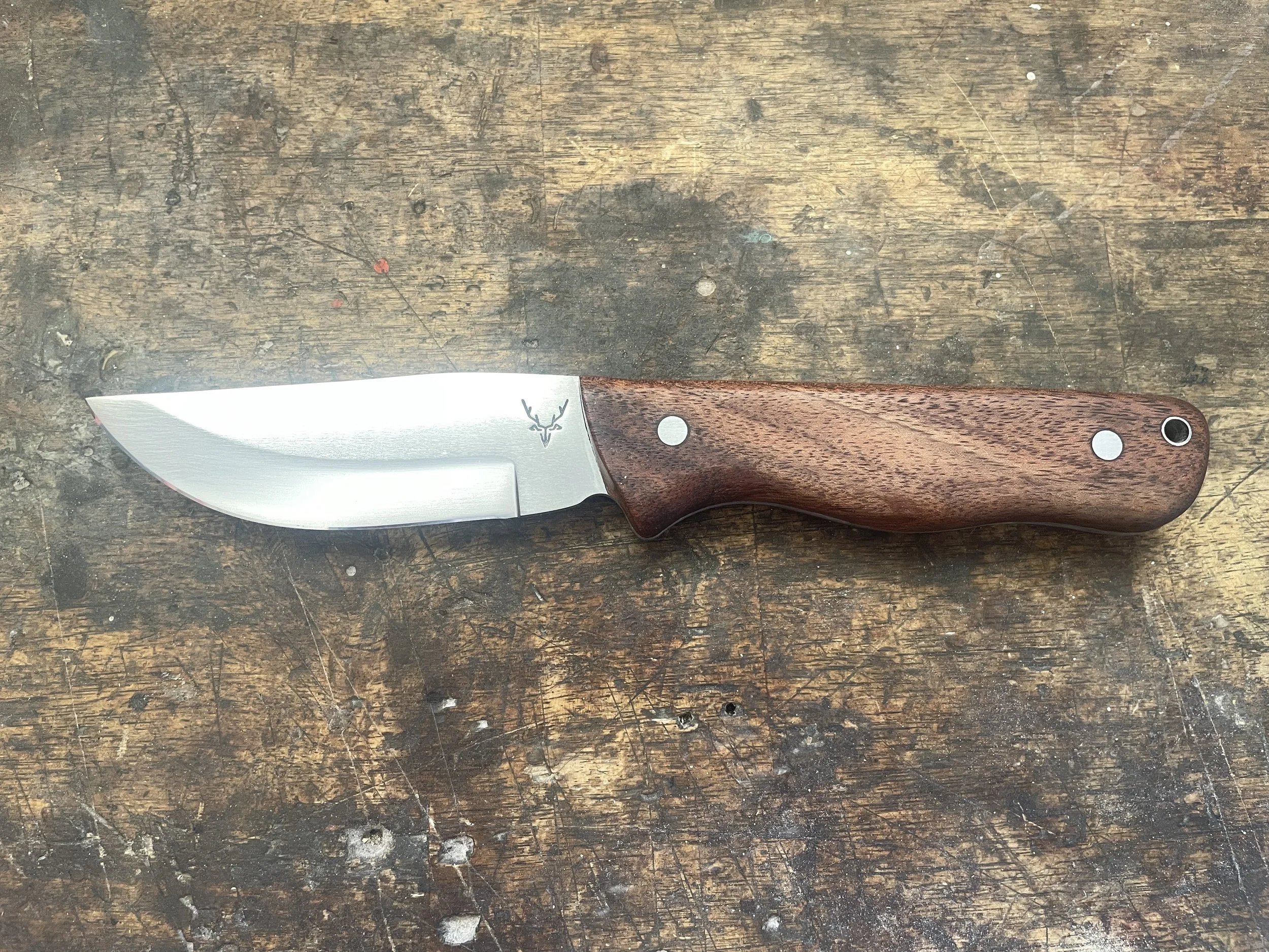 Blackwood Ultimate Hunter Knife facing left