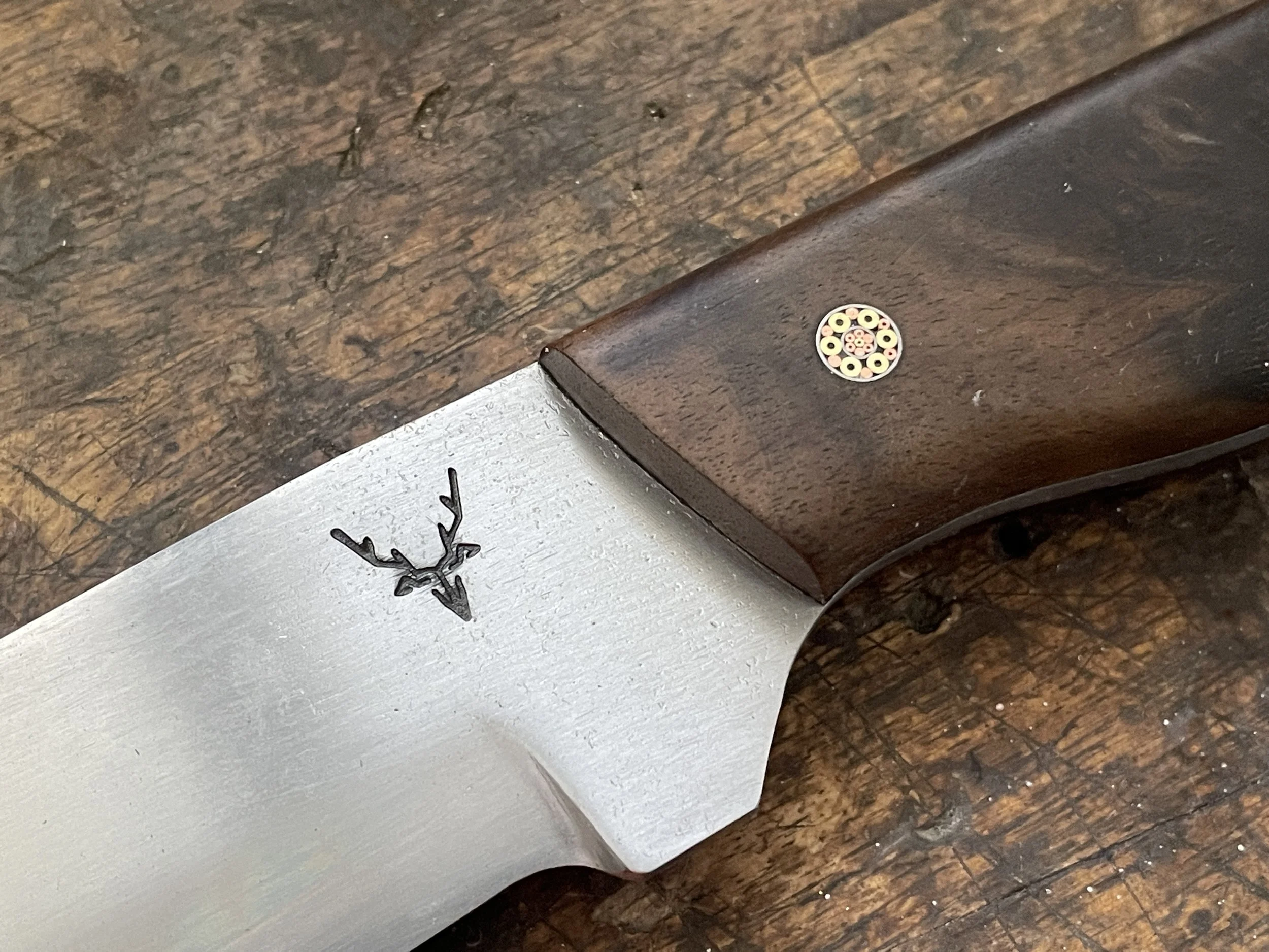 Bushman Walnut knife close up