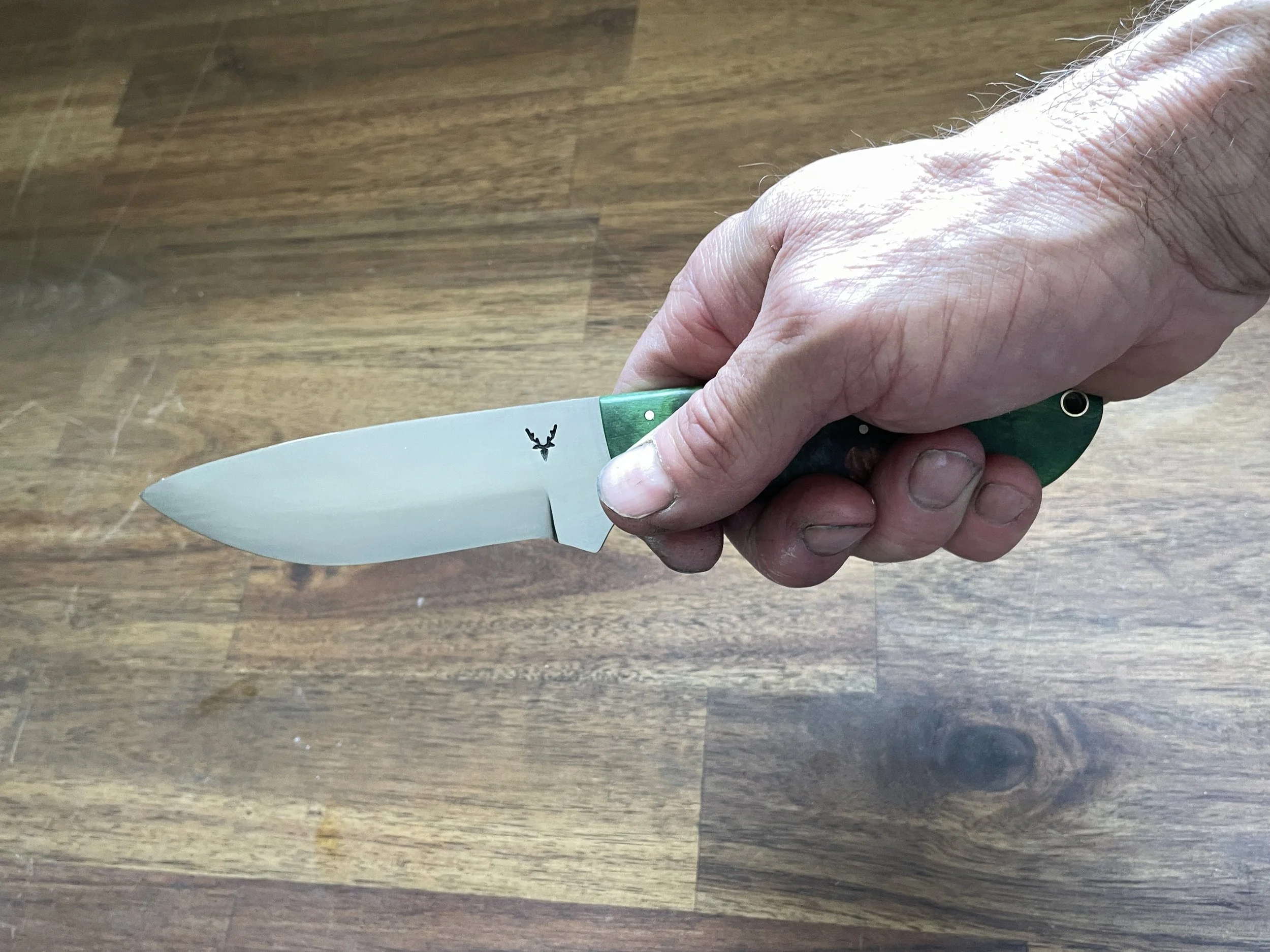 Hunting Companion in the hand.JPG