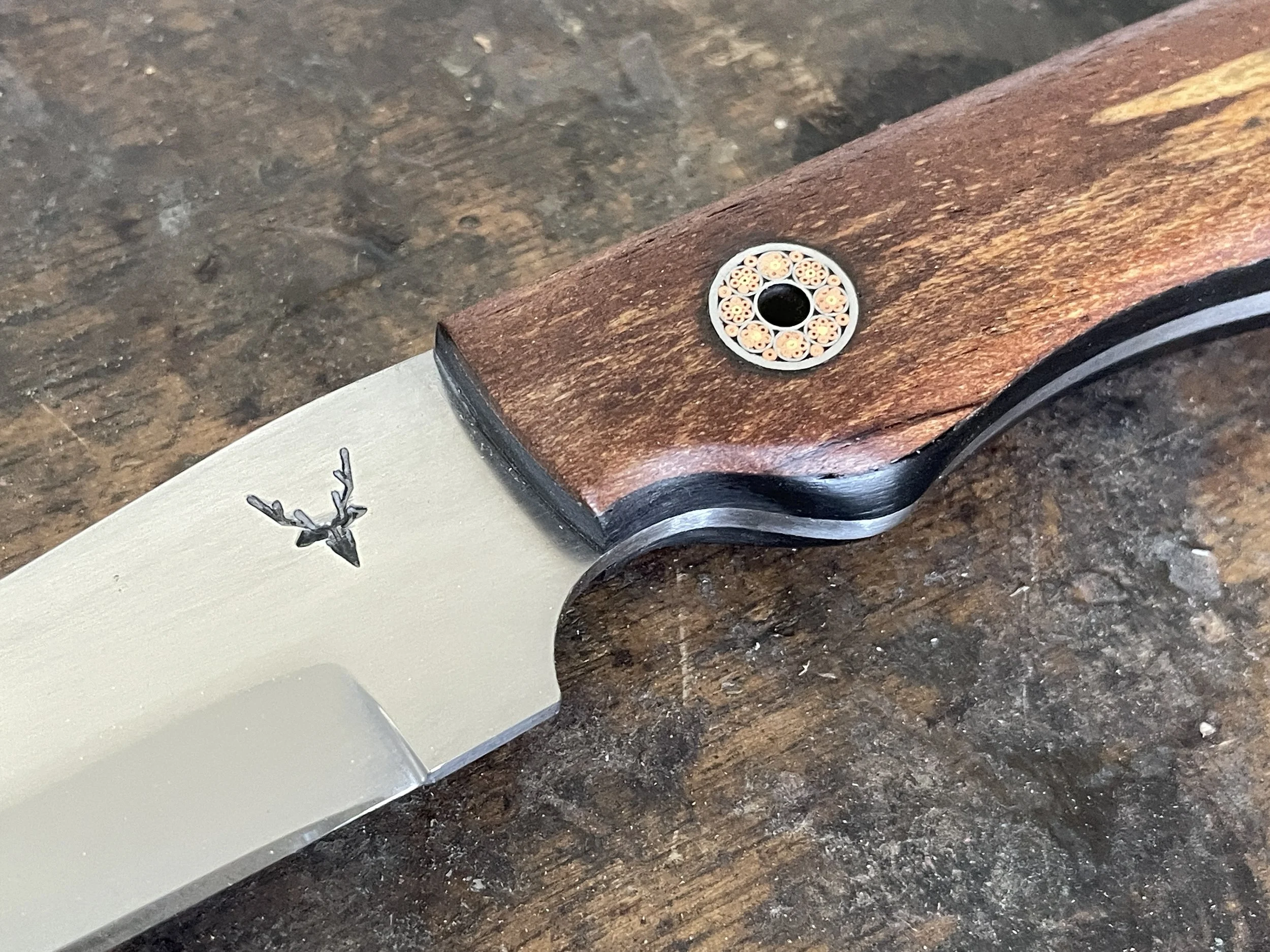 B & T knife rata close up