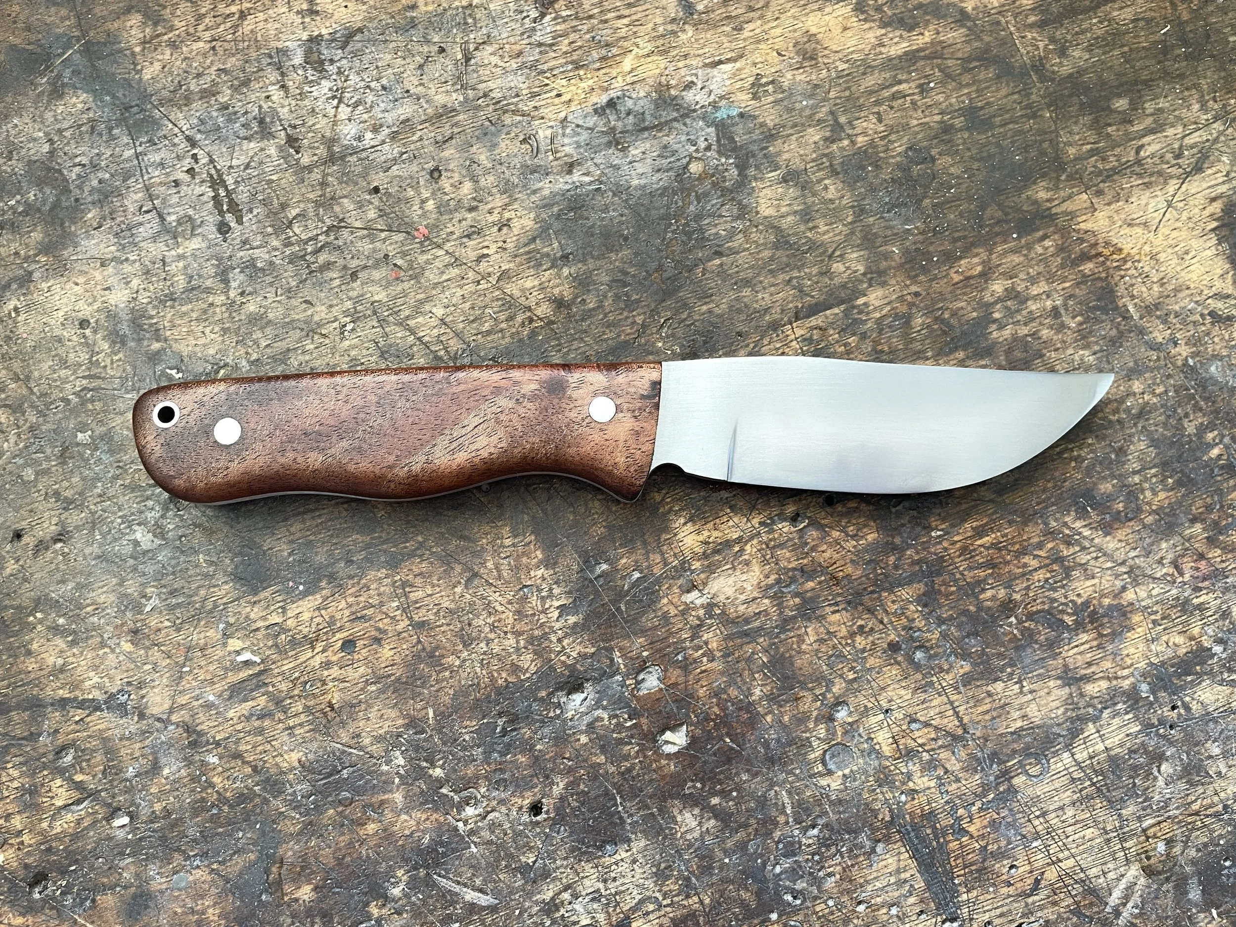 Ultimate Hunter Blackwood facing right