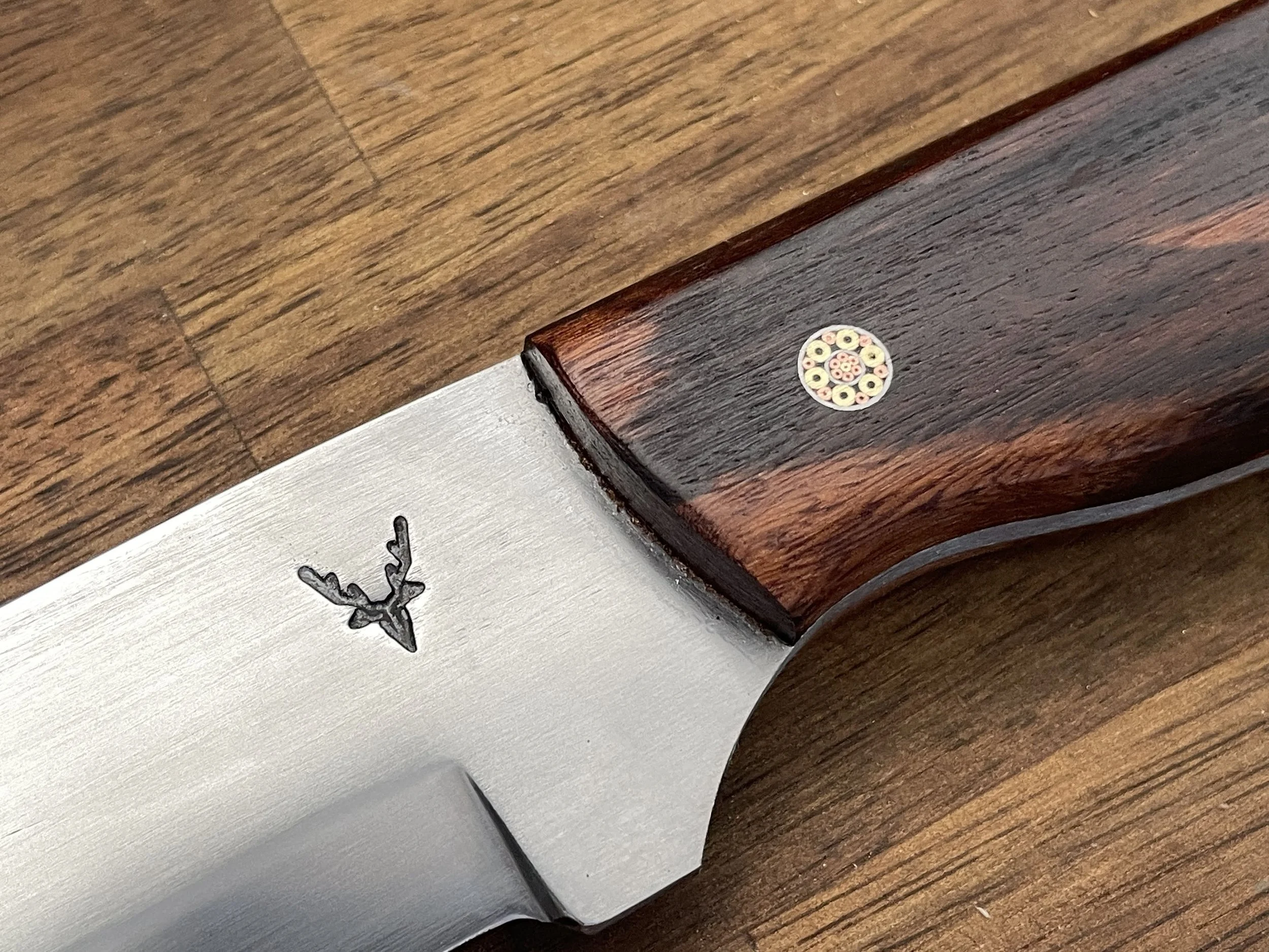 Bushman Teak close up.JPG