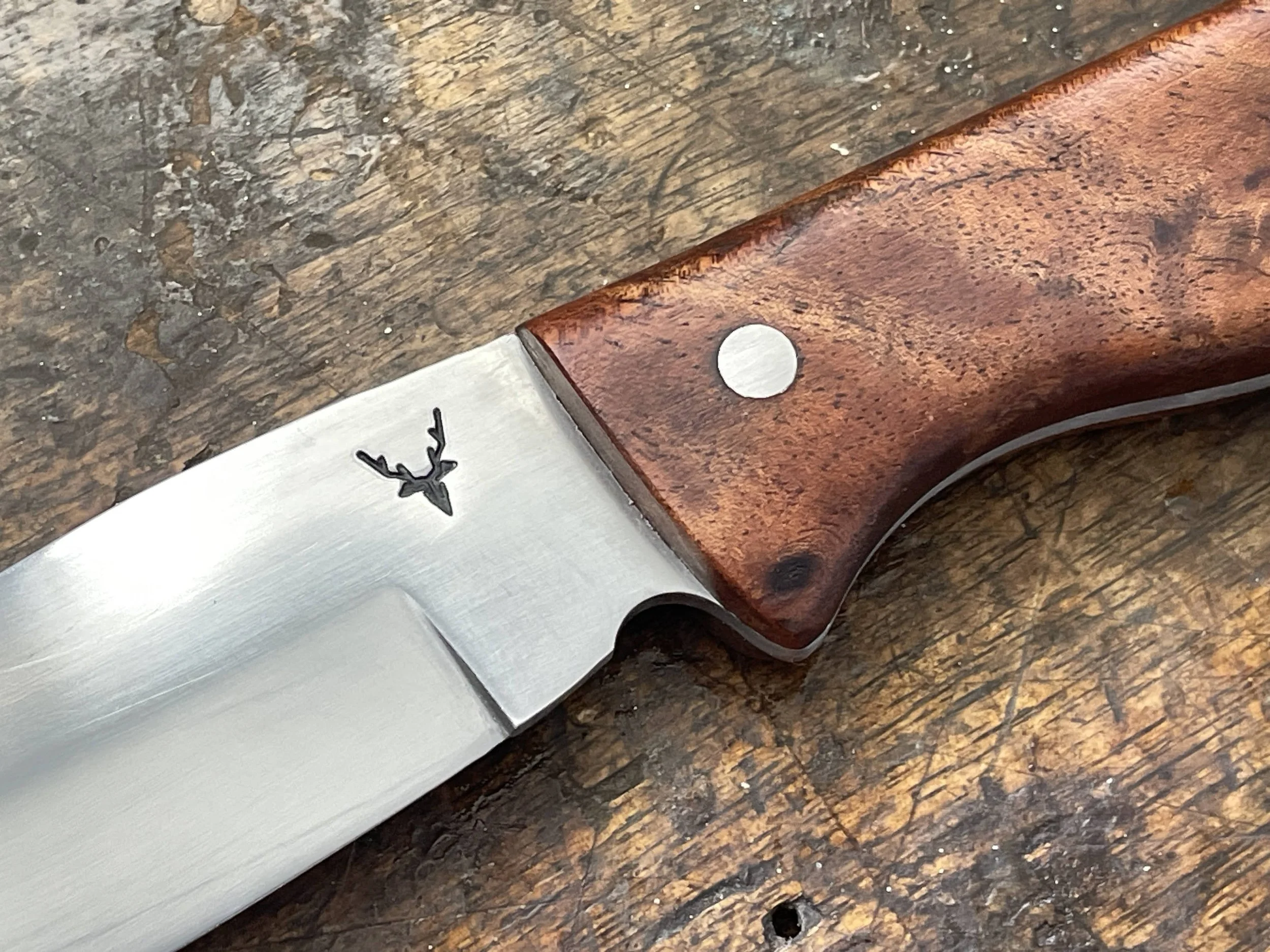 Ultimate Hunter Blackwood close up