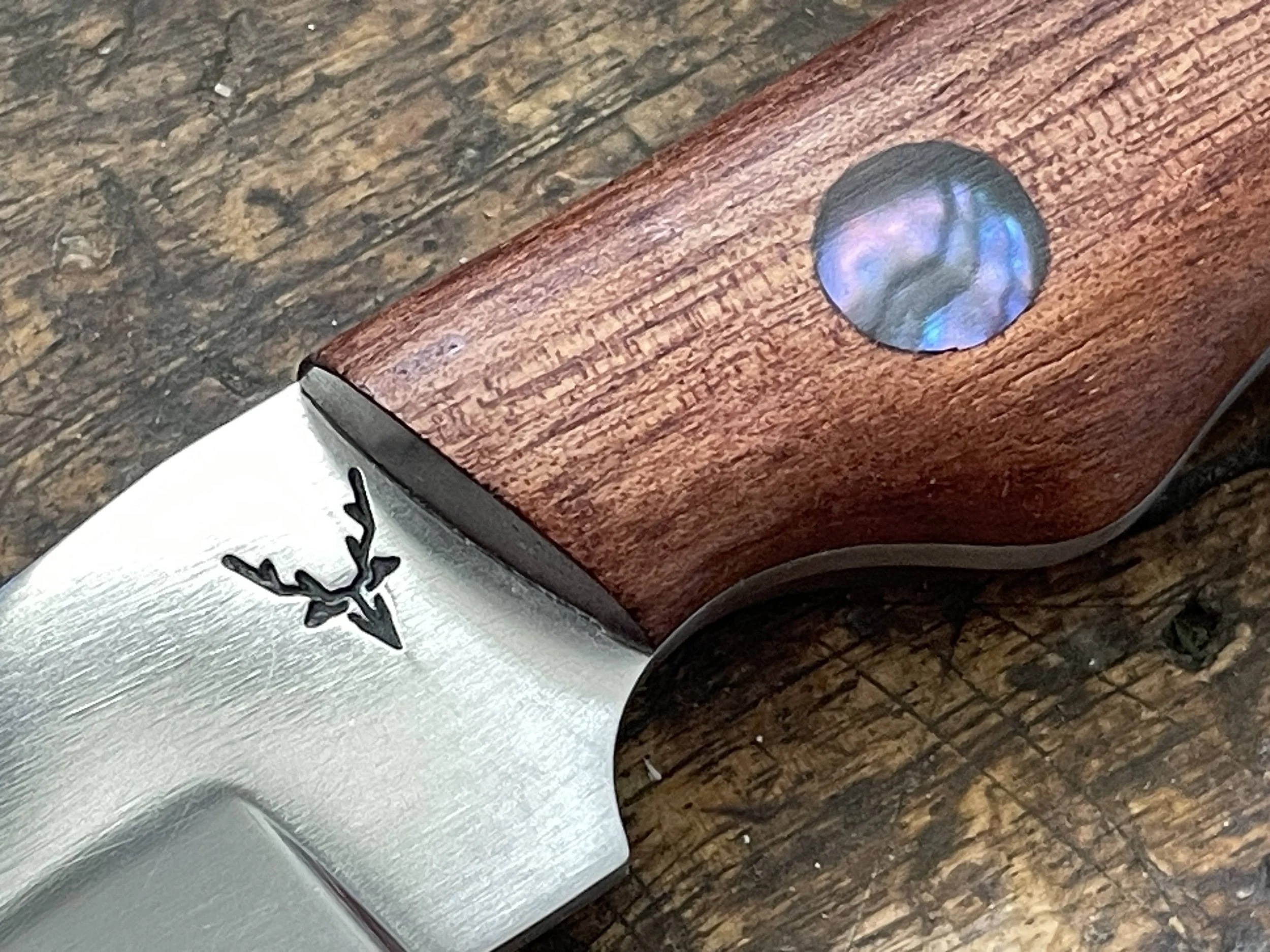 Bird & Trout with Paua close up