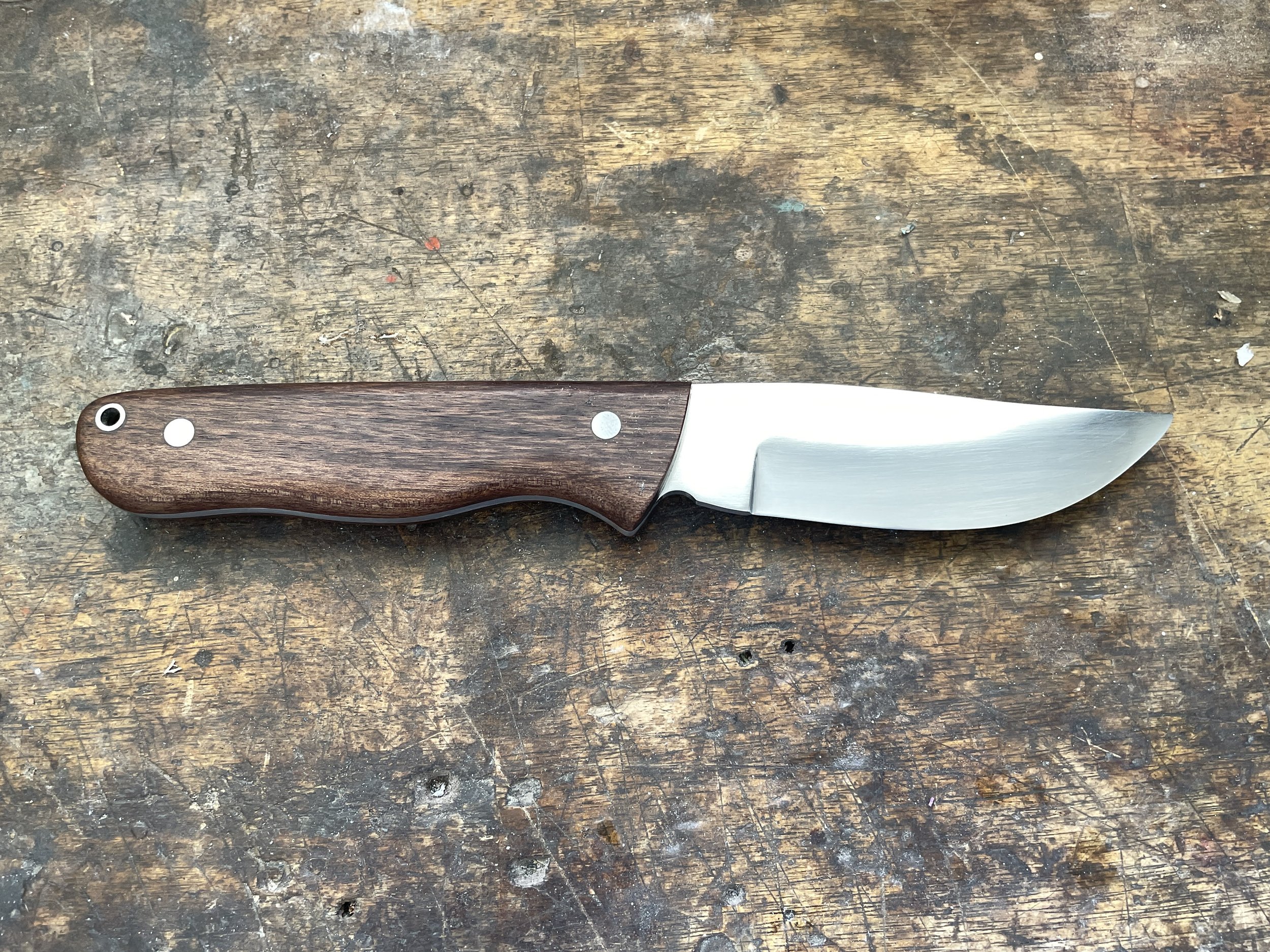 Ultimate hunter knife with walnut handle facing right