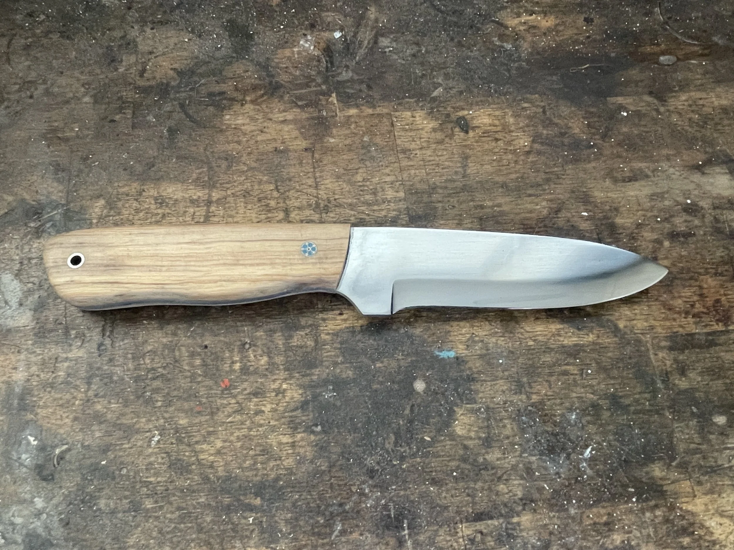 Bushman Black Maire facing right