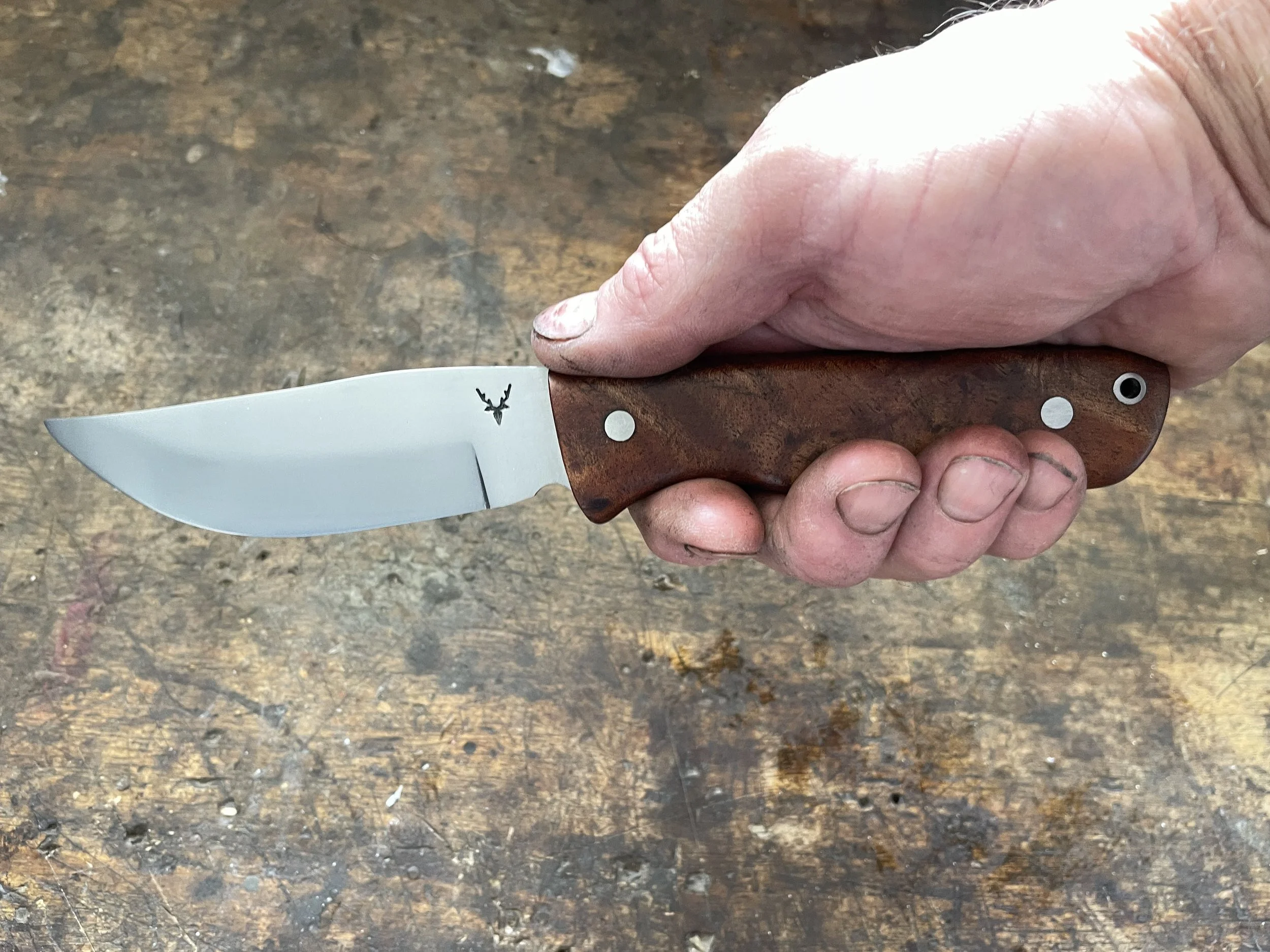 Ultimate Hunter Blackwood in the hand