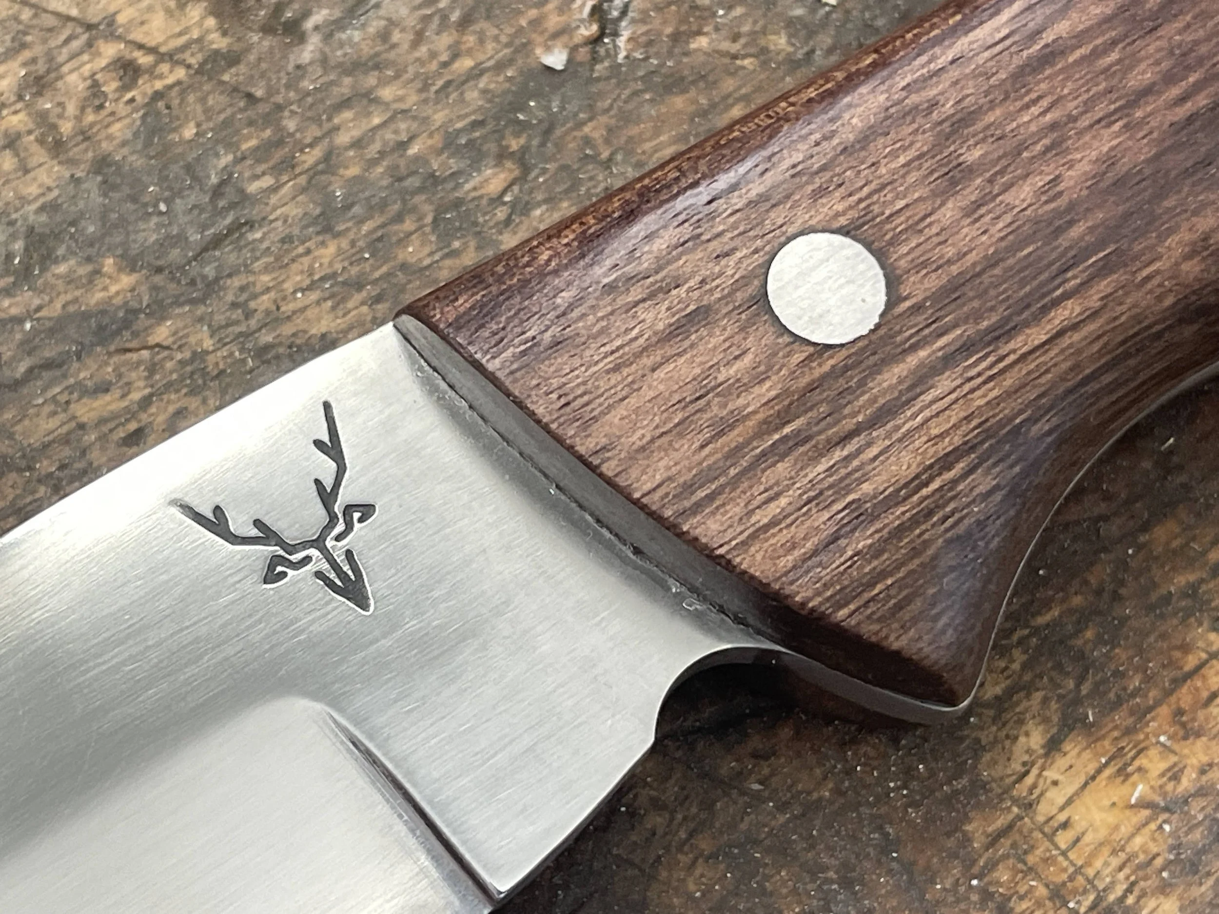 Ultimate hunter knife with walnut handle close up