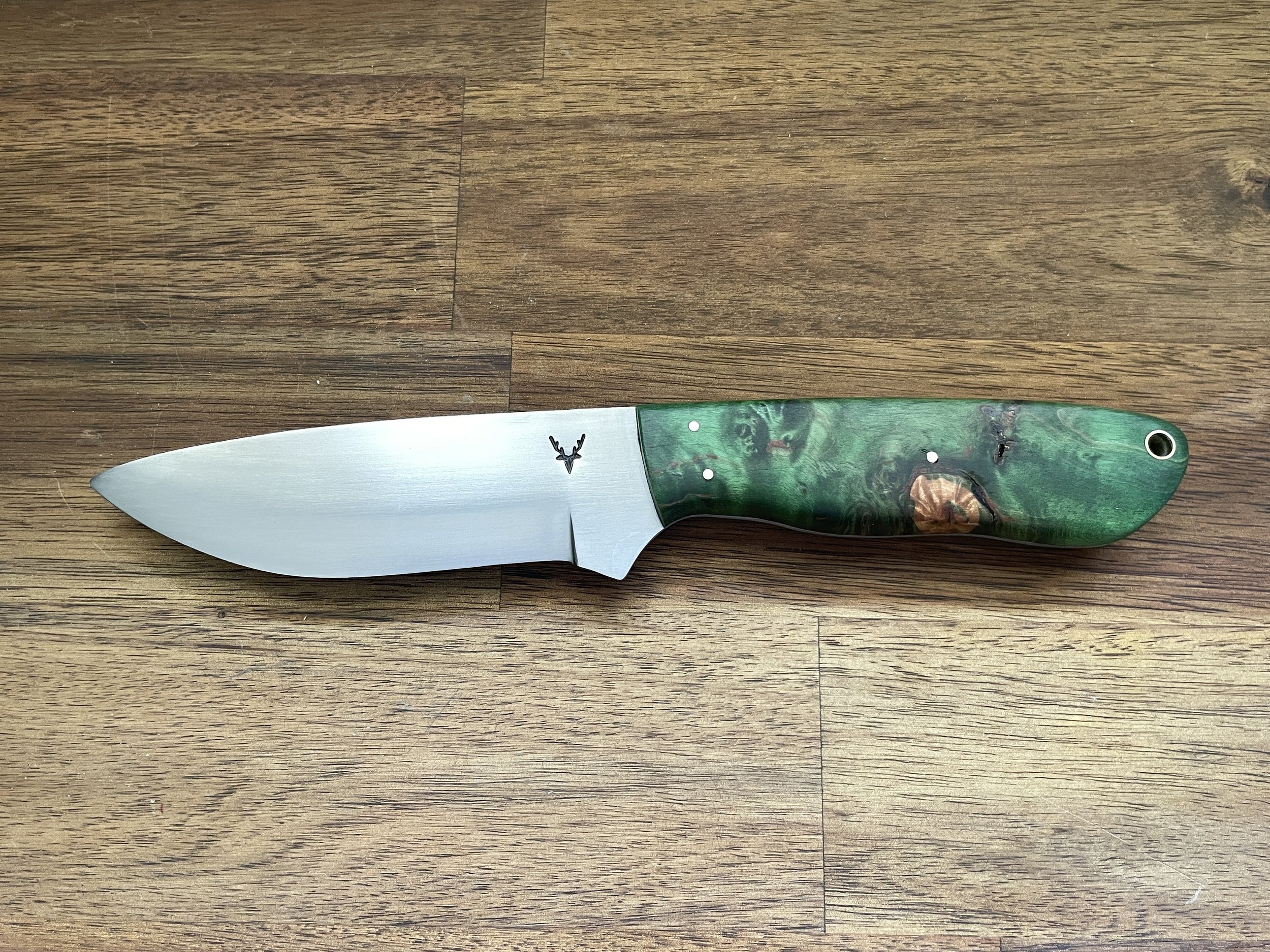 Hunting Companion - Curly Birch