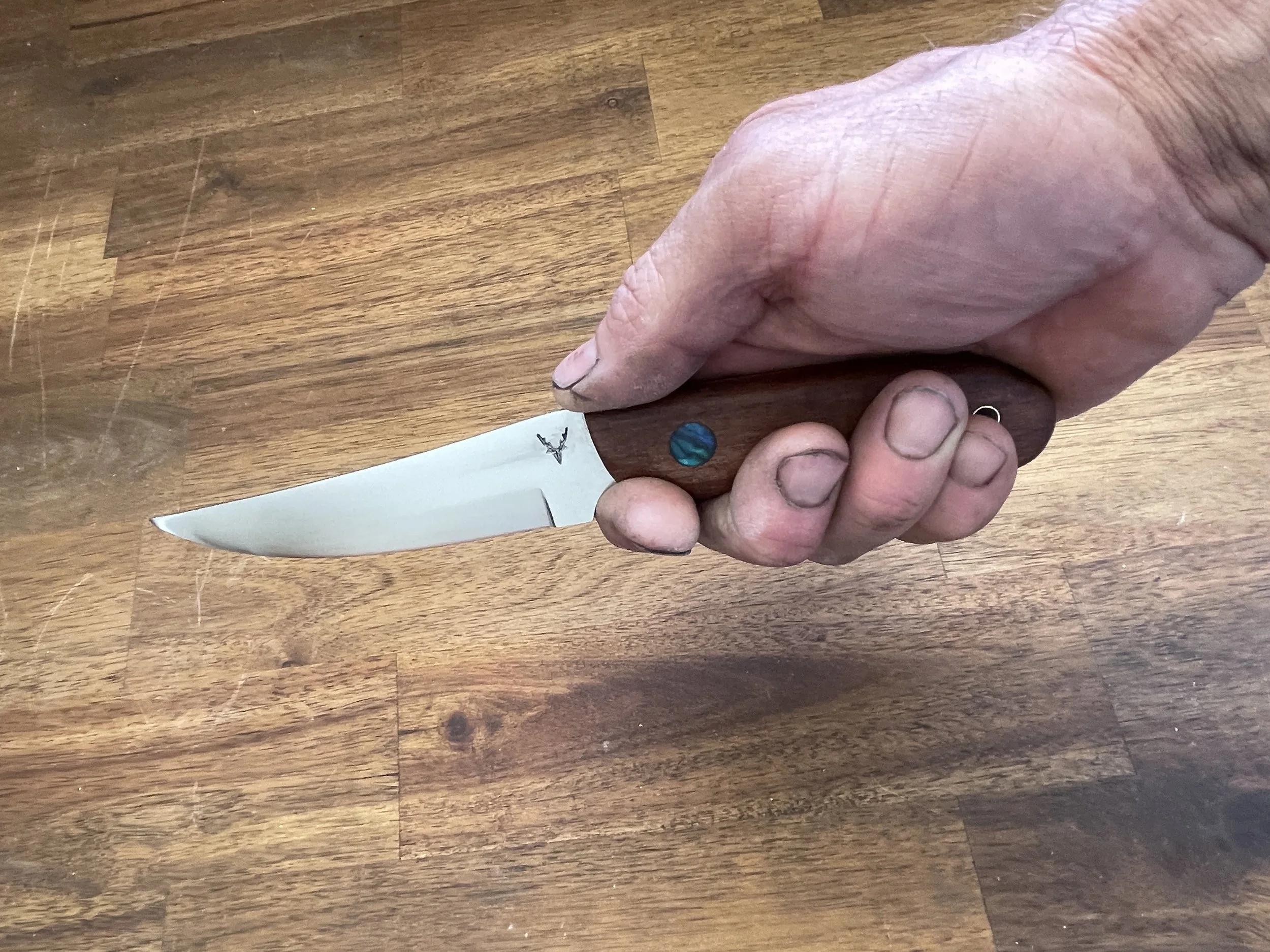 Bird & Trout Rata & Paua in the hand