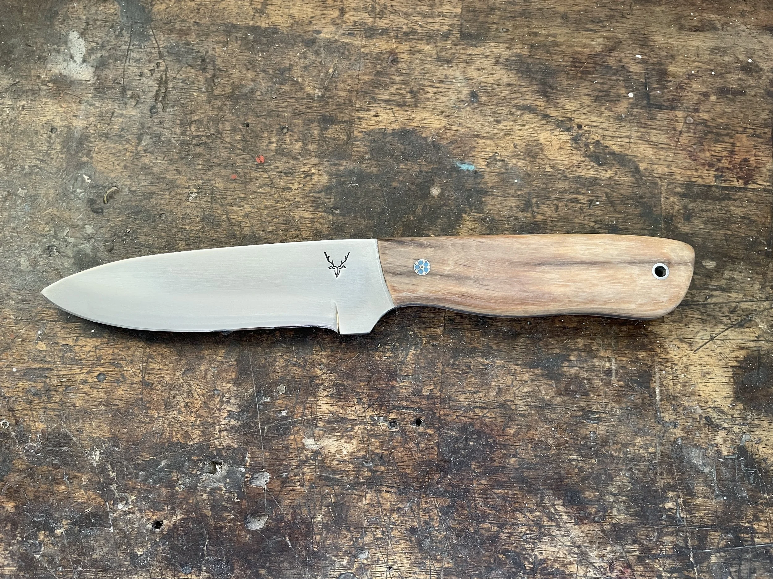 Bushman Black Maire facing left