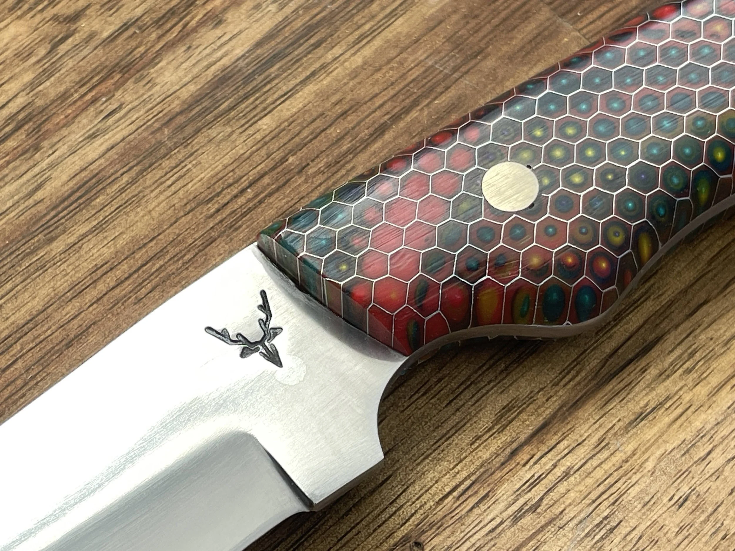 Honeycomb Bird & Trout close up