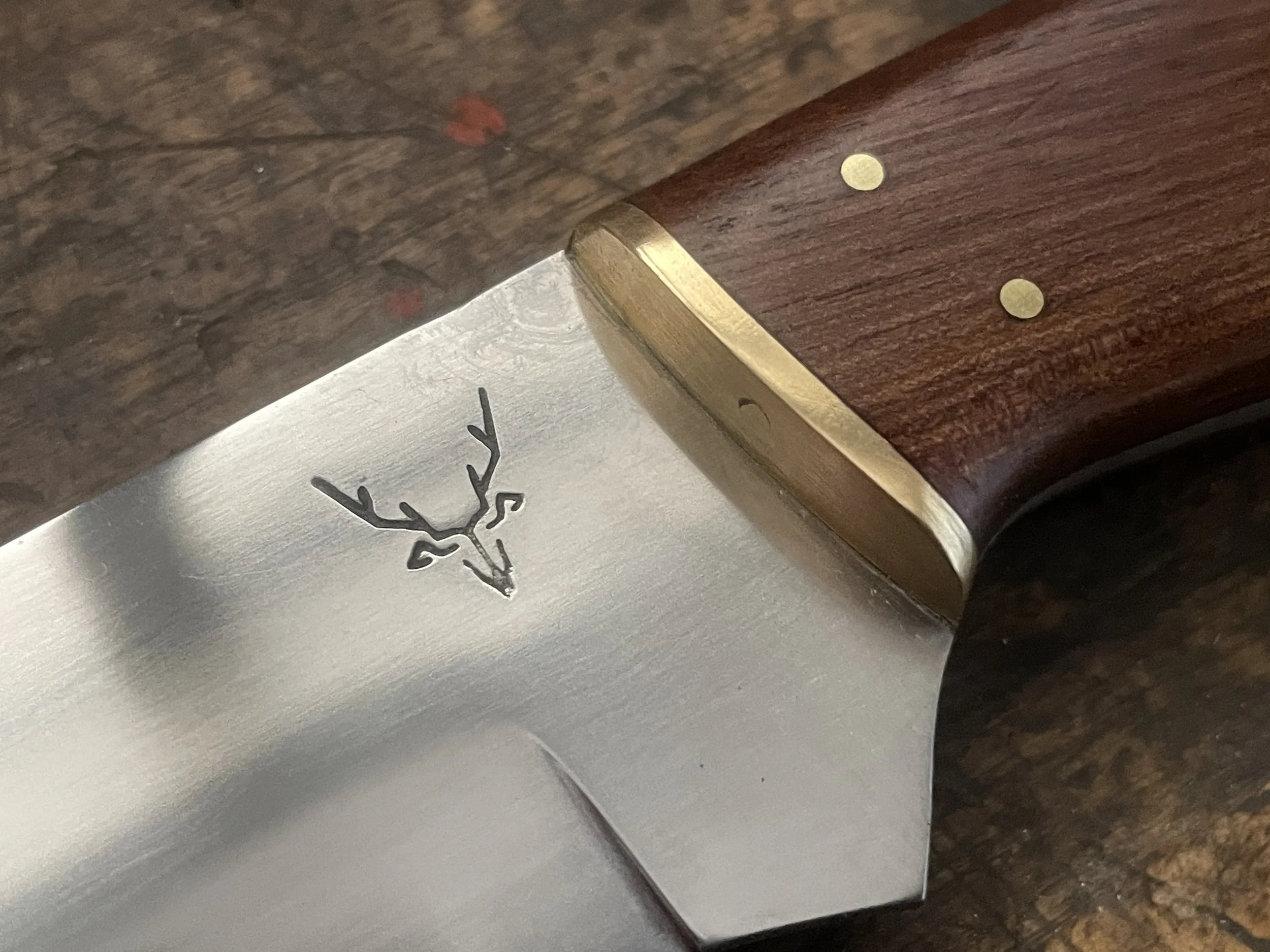 Fishing Companion knife close up