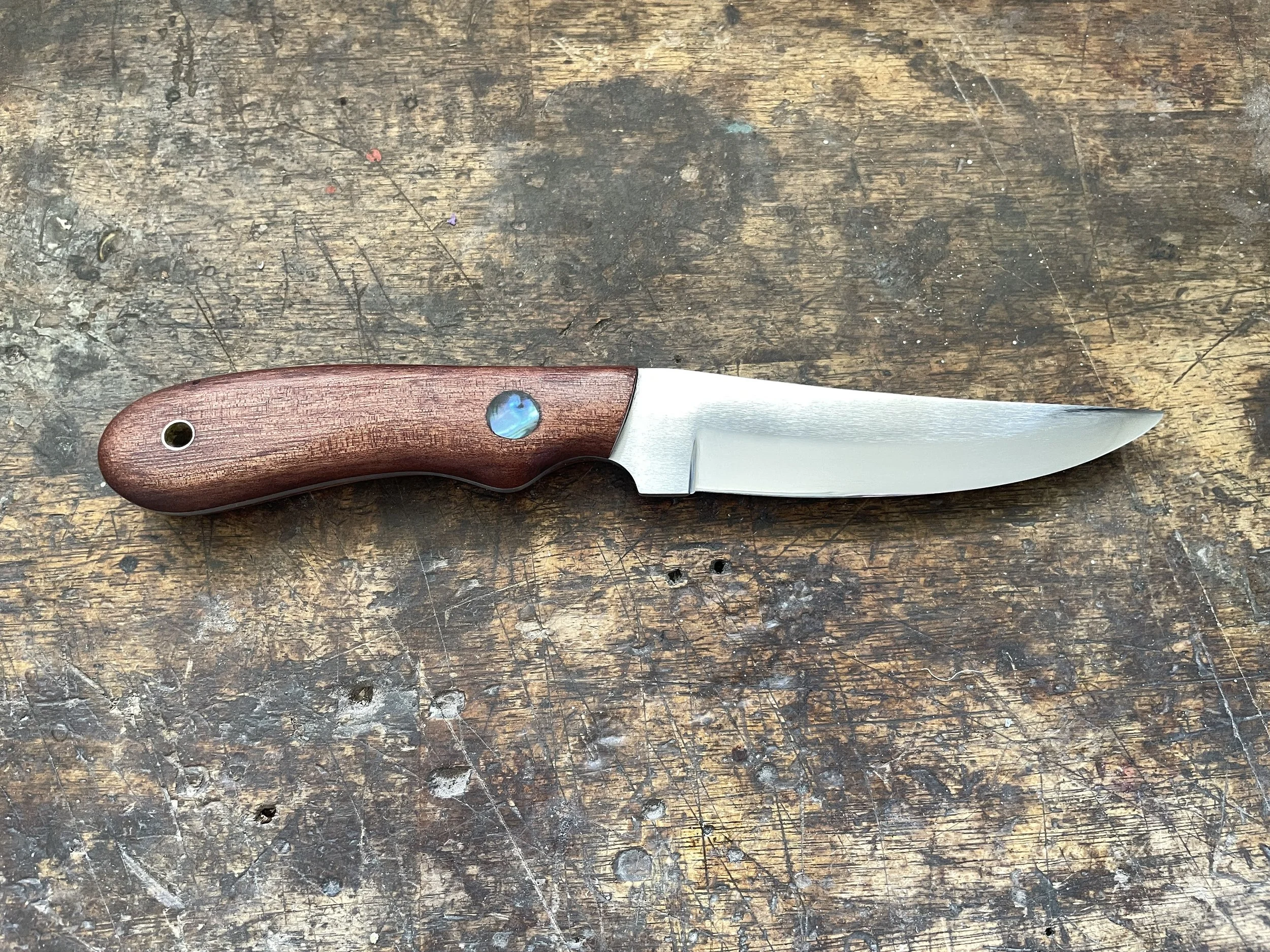 Bird & Trout with Paua facing right