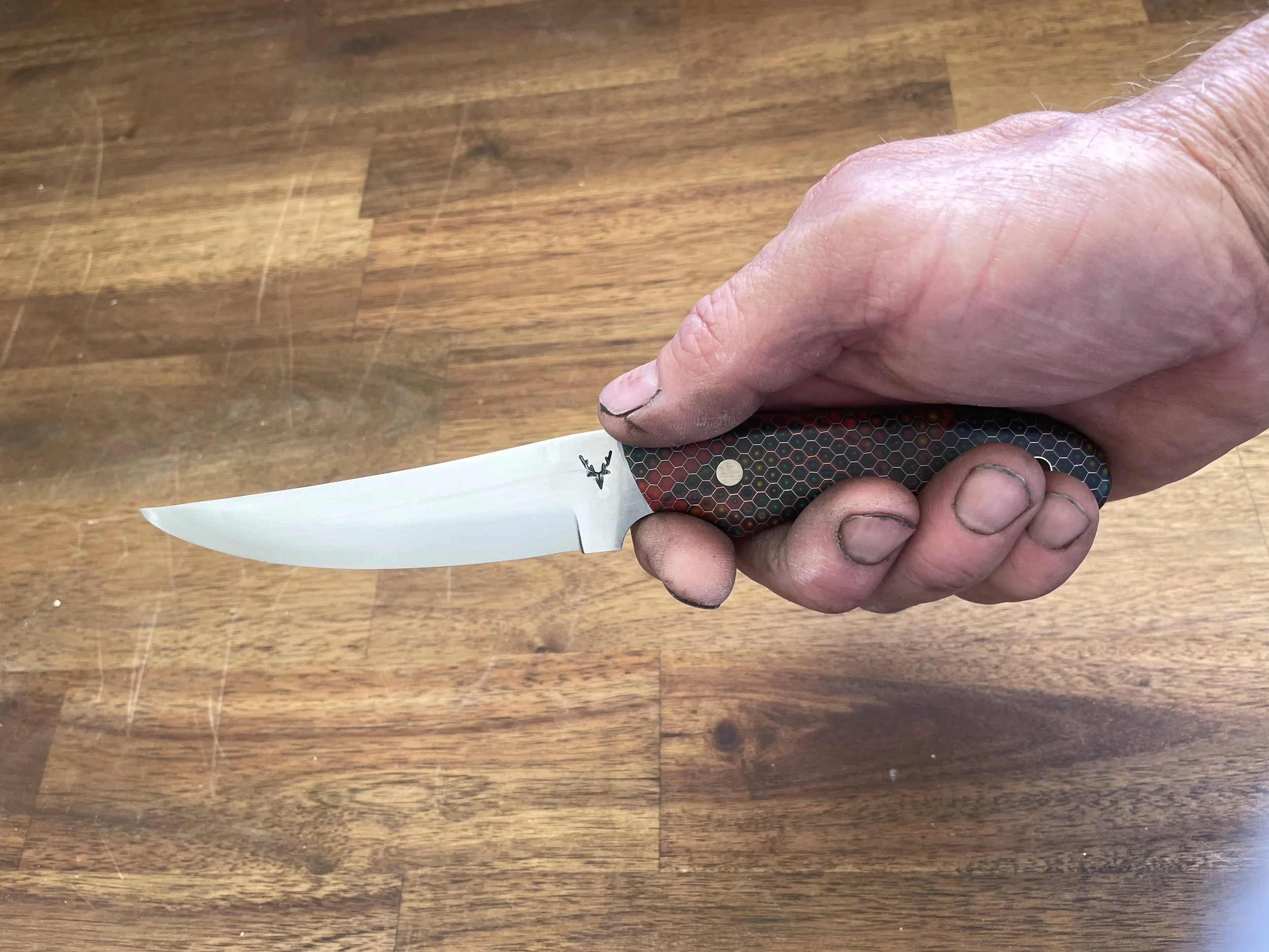 Honeycomb Bird & Trout in the hand