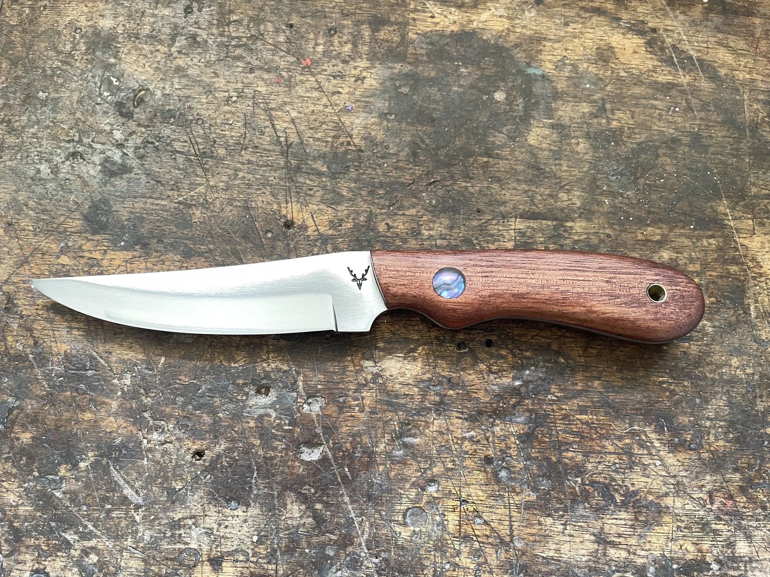 Bird & Trout with Paua facing left