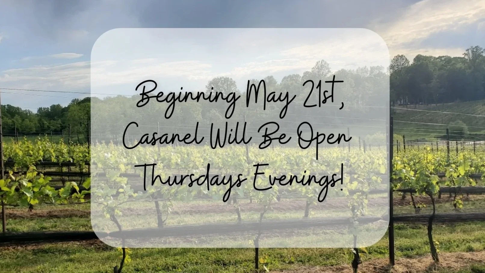 Announcing Our New Summer Hours
