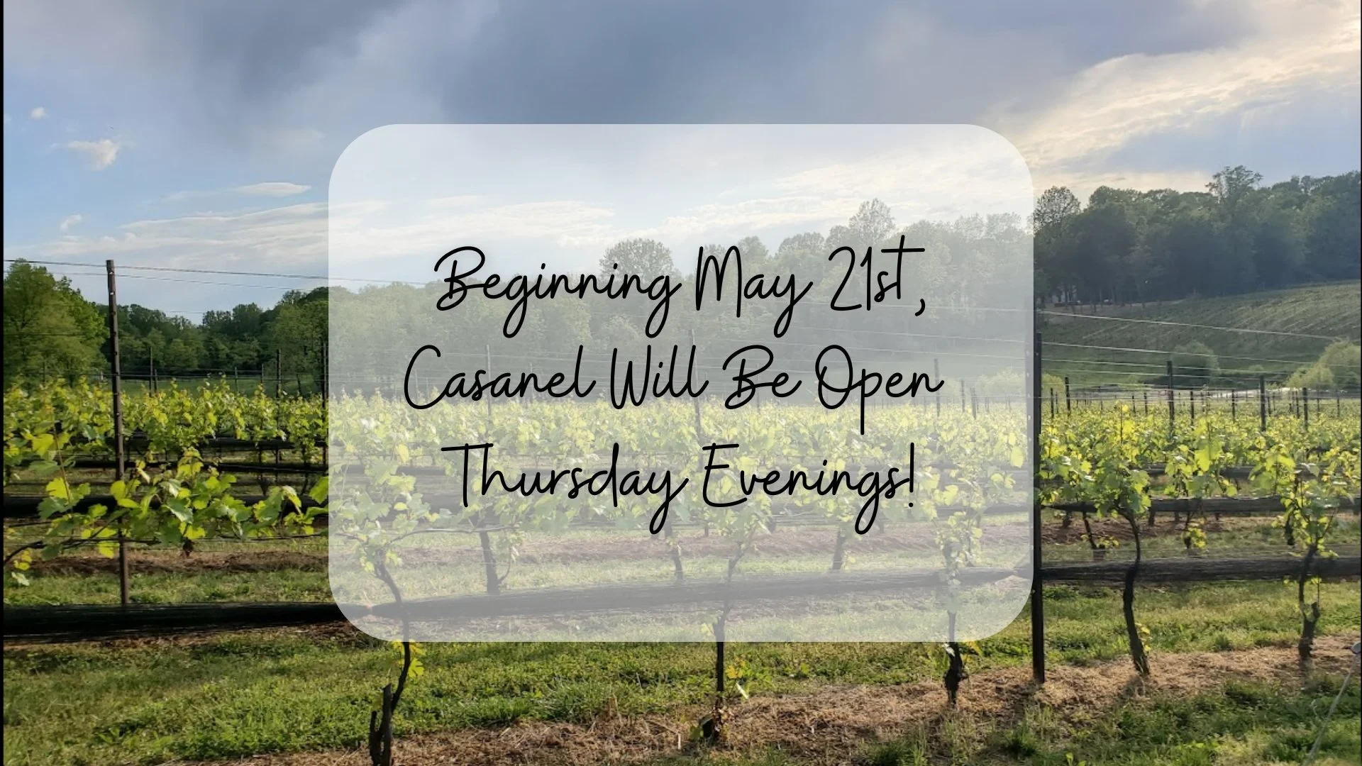 Announcing Our New Summer Hours