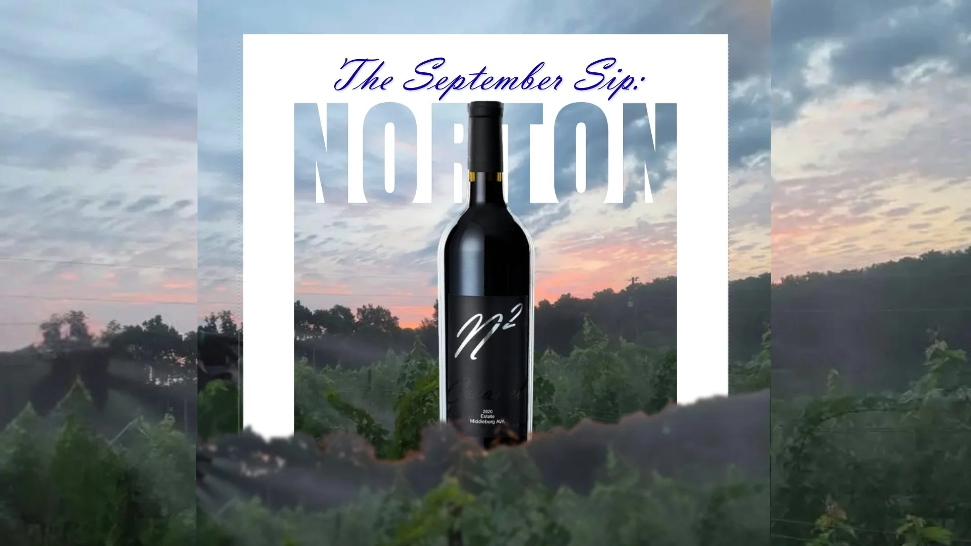 The Sip: N2 (Nelson’s Norton)