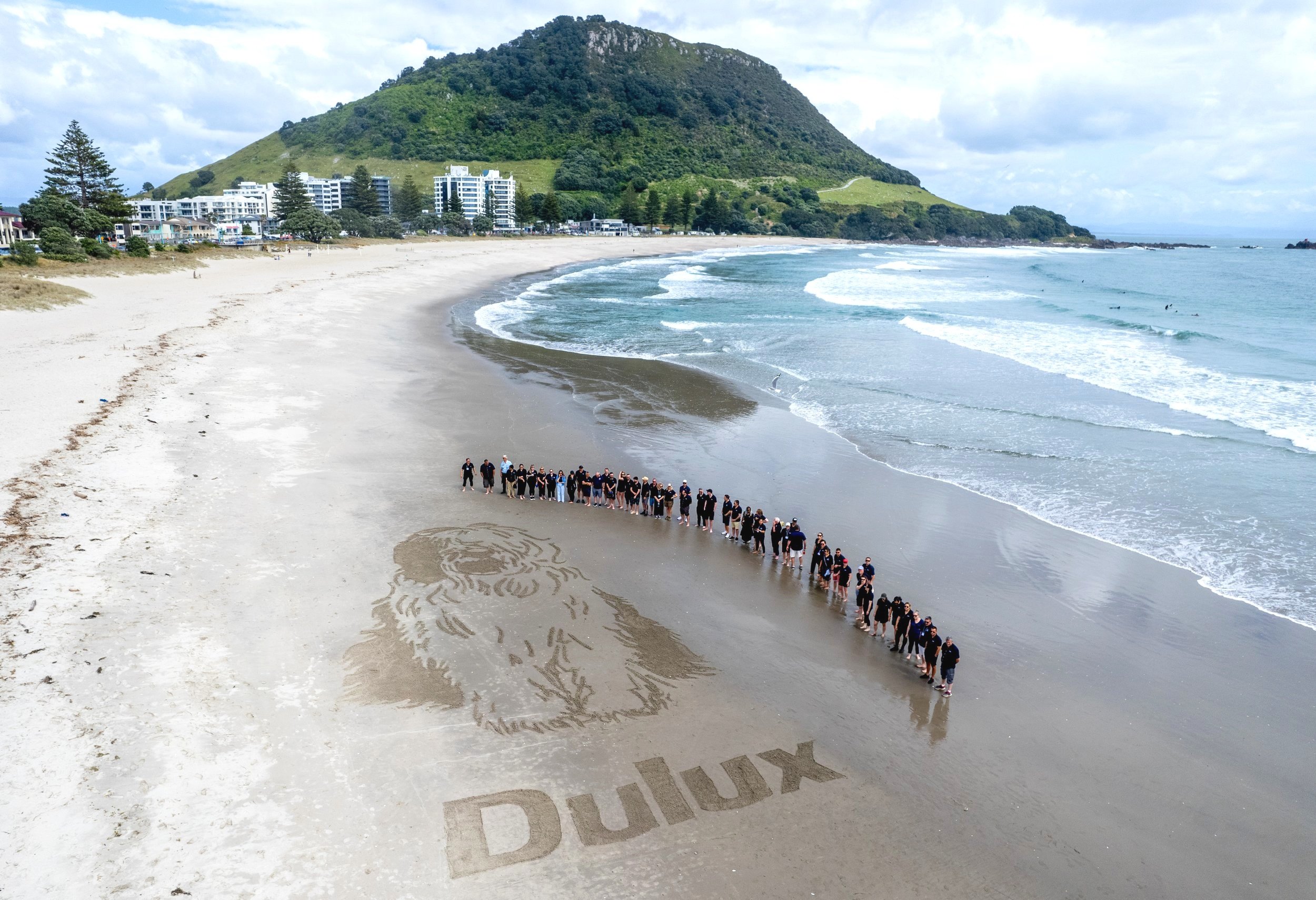 Dulux New Zealand Team Building
