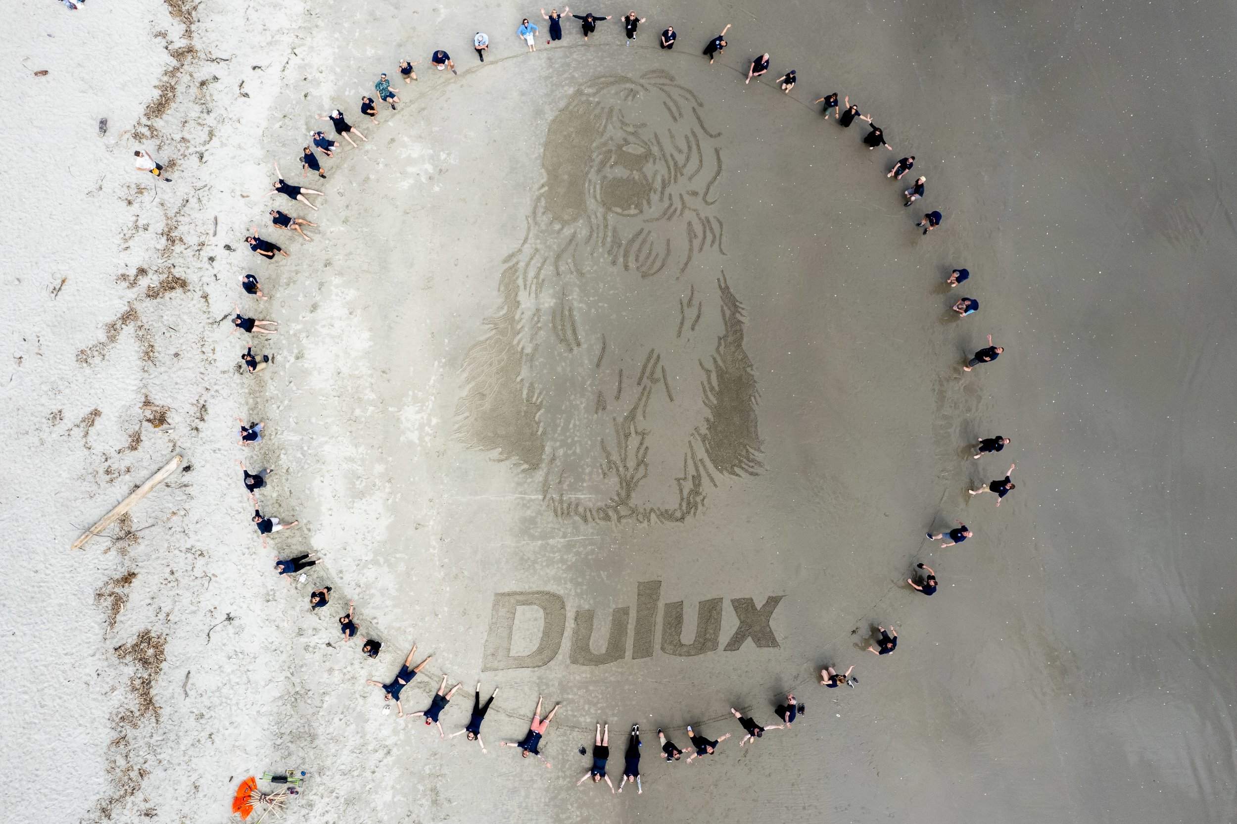"Top-down aerial view of the Dulux team at Mount Maunganui Beach, posing for a memorable group photo during their unique sand art team building activity in New Zealand."