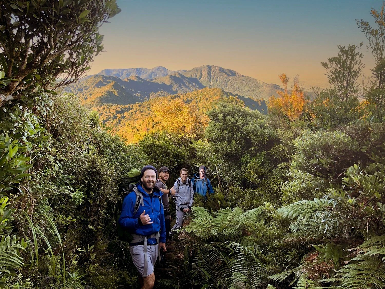 A group of men standing in the New Zealand Bush Hiking at sunrise