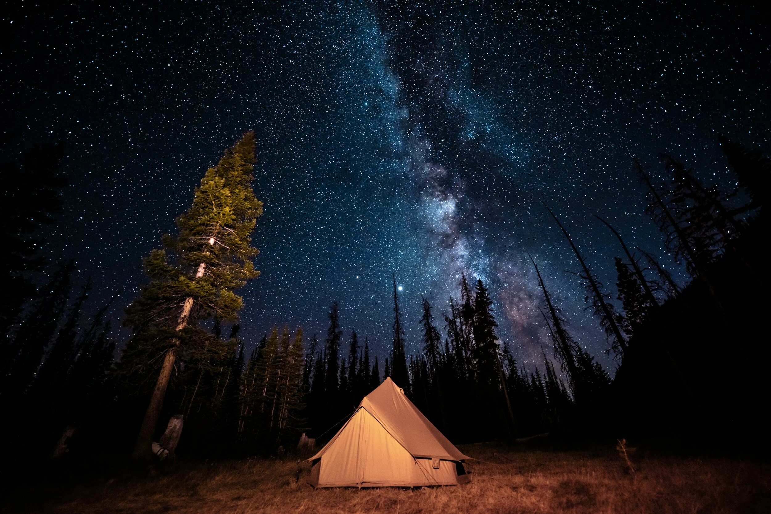 Tent under starry night sky with Milky Way and trees.