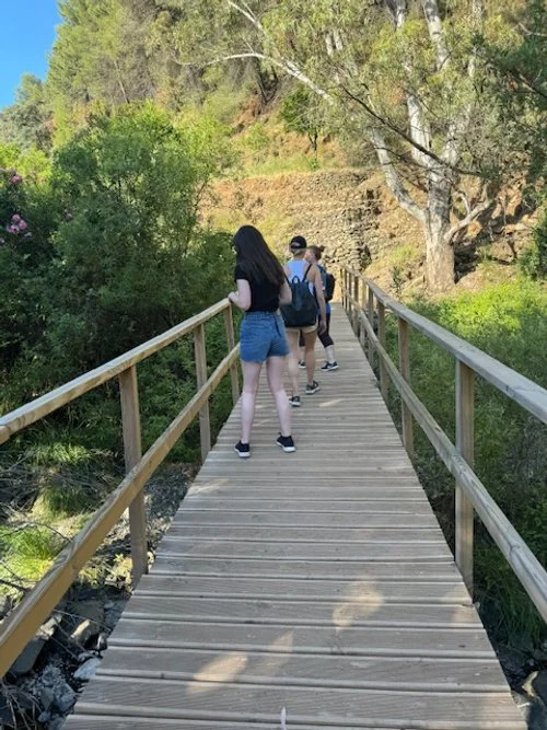 People walking on a wooden boardwalk through a forested area.