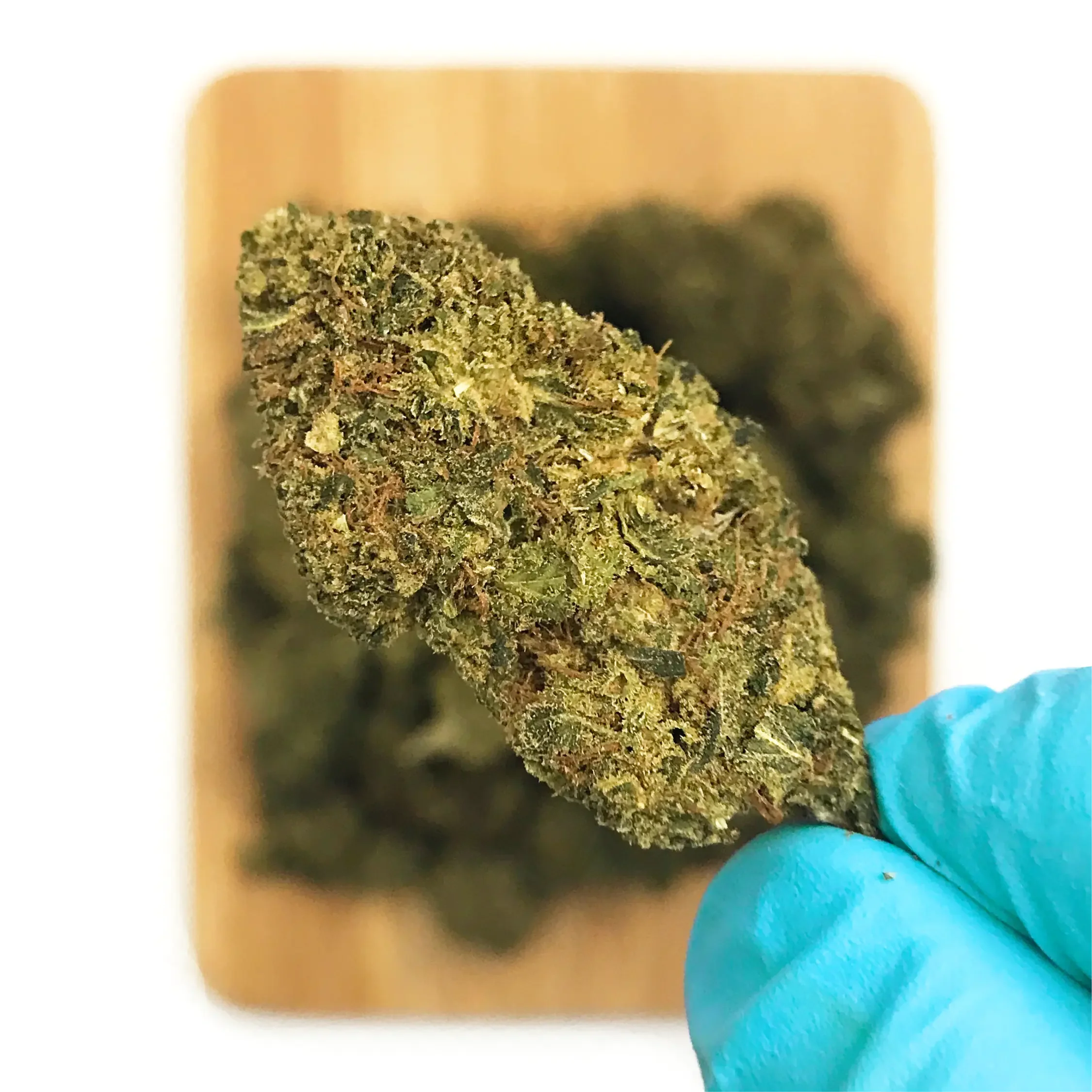 Fleurs_CBD_US_Tangie_Highclouds_3.webp